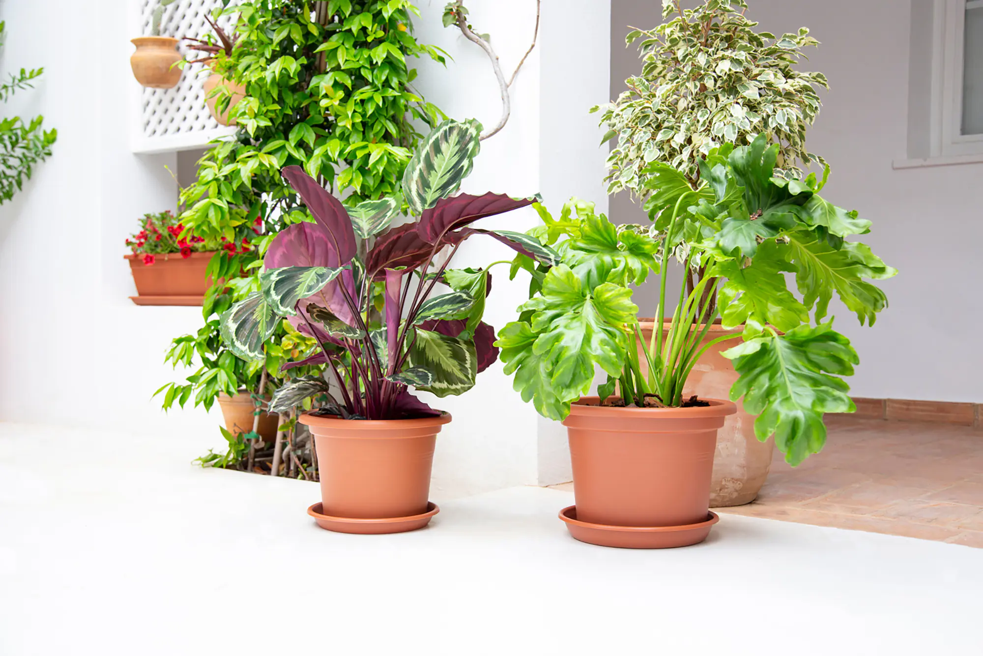 Artevasi Pflanztopf Venezia Cilindro Kunststoff terrakotta matt Ø 25 x 18 cm