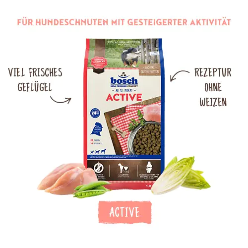 Bosch Active Trockenfutter für aktive Hunde Adult 15 kg mit Geflügel Bosch Active Trockenfutter für aktive Hunde Adult 15 kg mit Geflügel