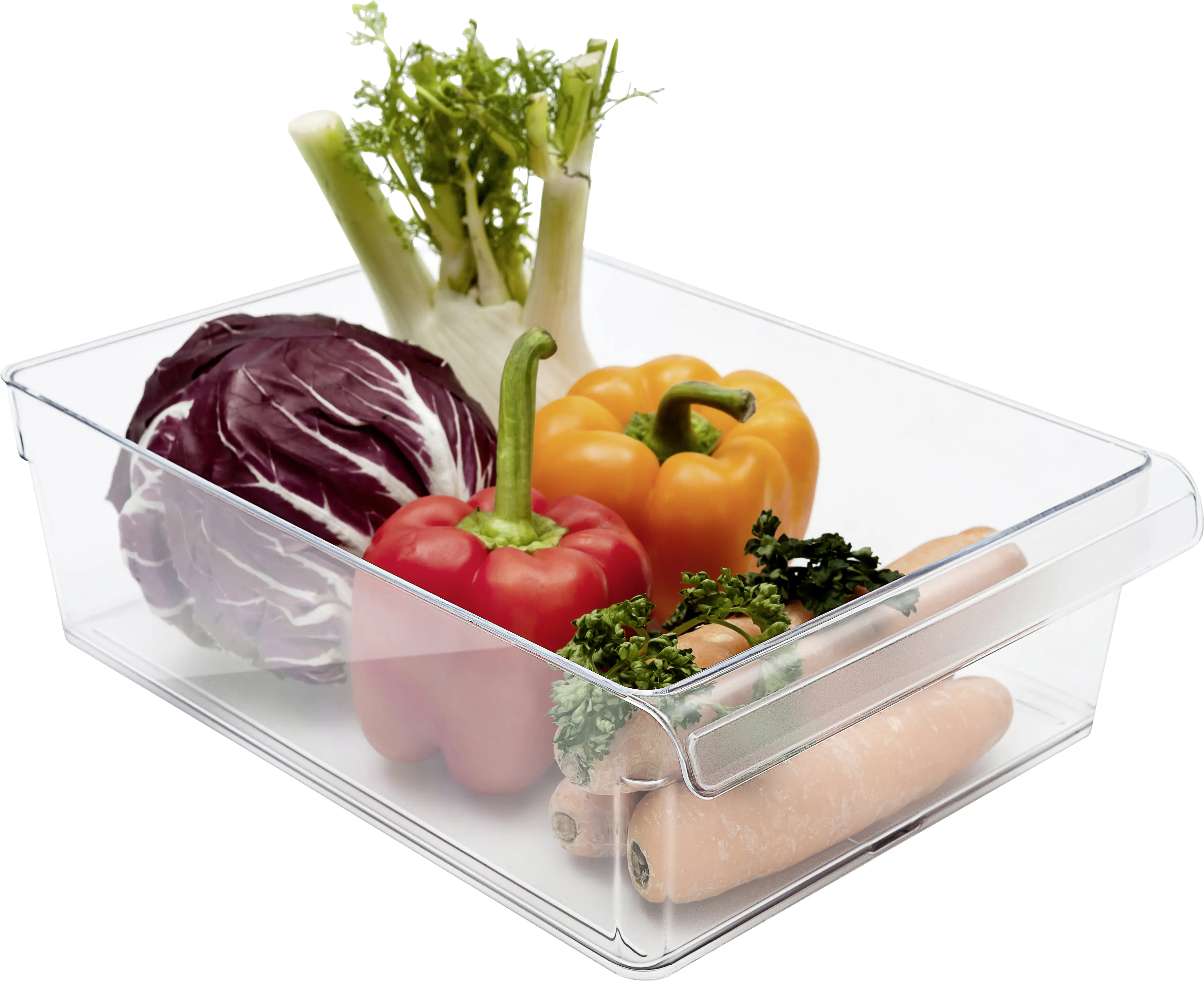 Rotho Kühlschrankorganizer Loft 5 l