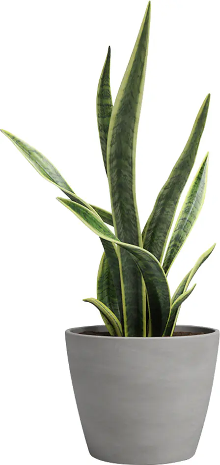 Artevasi Pflanztopf Emília Terrakotta grau Ø 29 x 23 cm