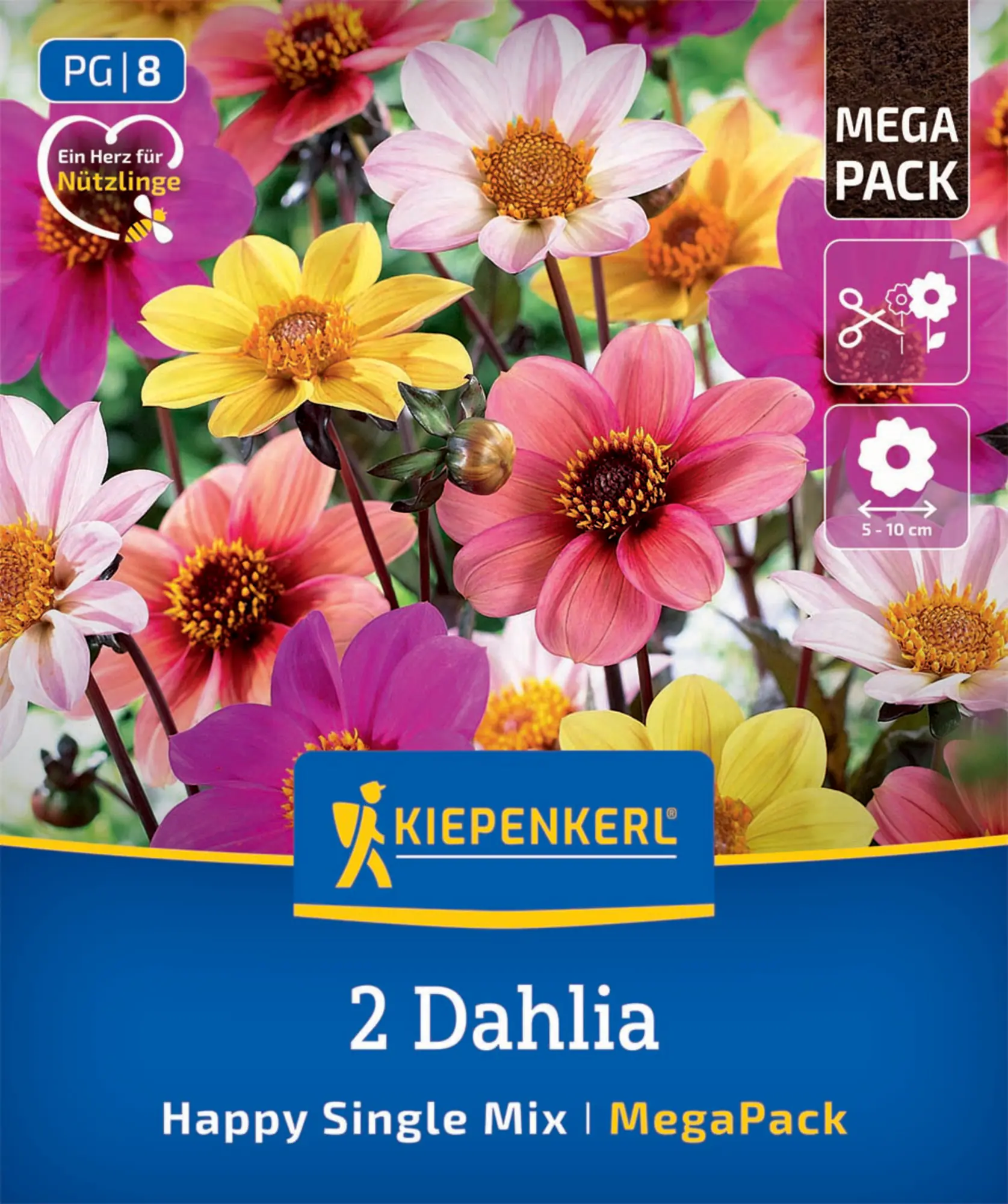 Kiepenkerl Mega-Pack Frühjahrsblumenzwiebel Dunkellaubige Dahlien Happy Single Mix 2 Stück