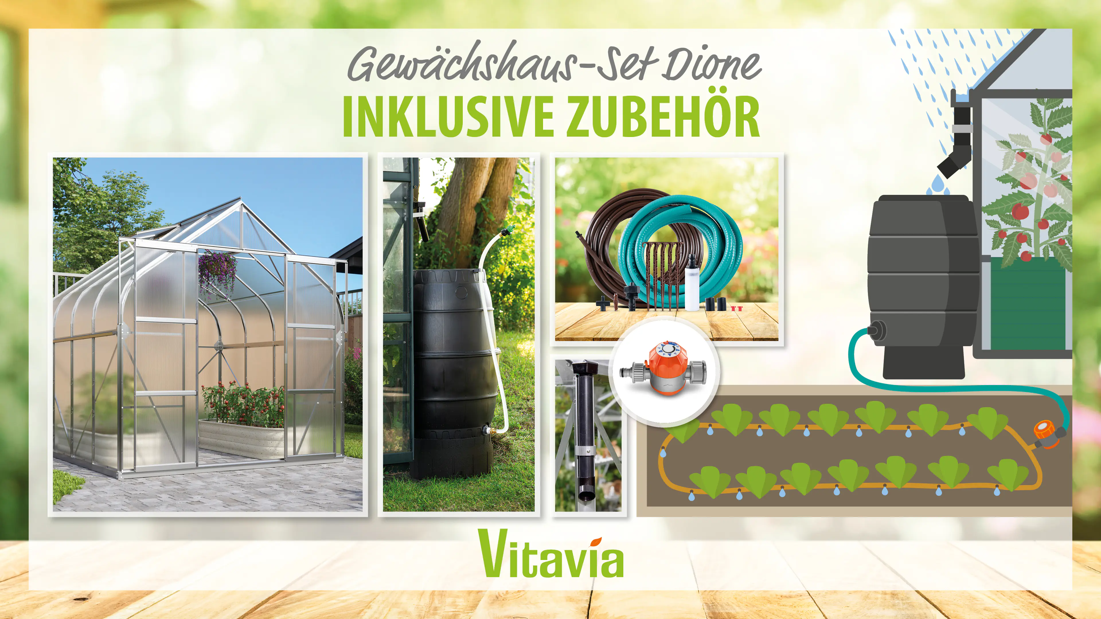 Vitavia Gewächshaus-Set Dione 6700 HKP 4 mm alu 254 x 254 cm 