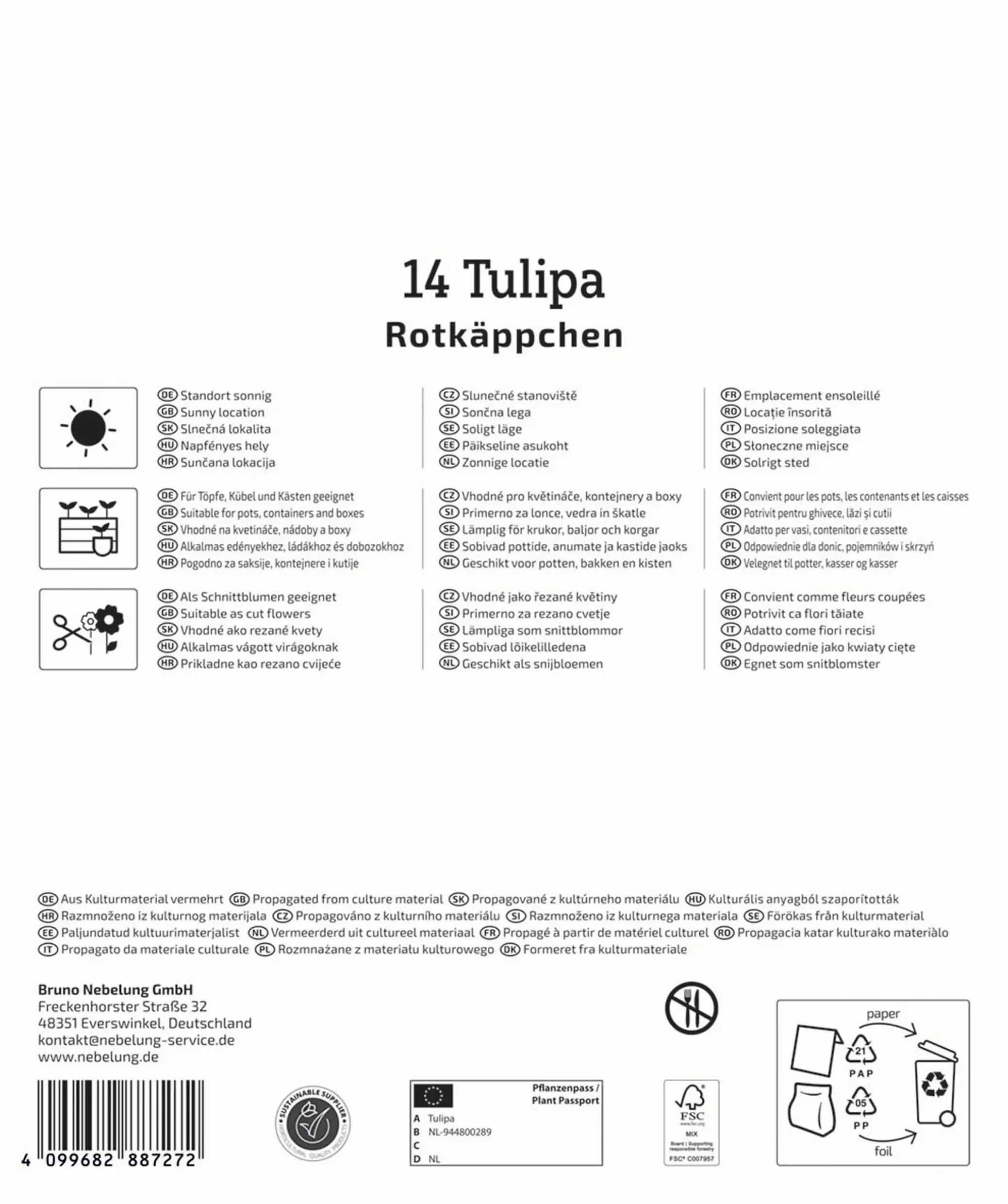 Kiepenkerl Mega-Pack Greigii-Tulpen Rotkäppchen rot 14 Stück