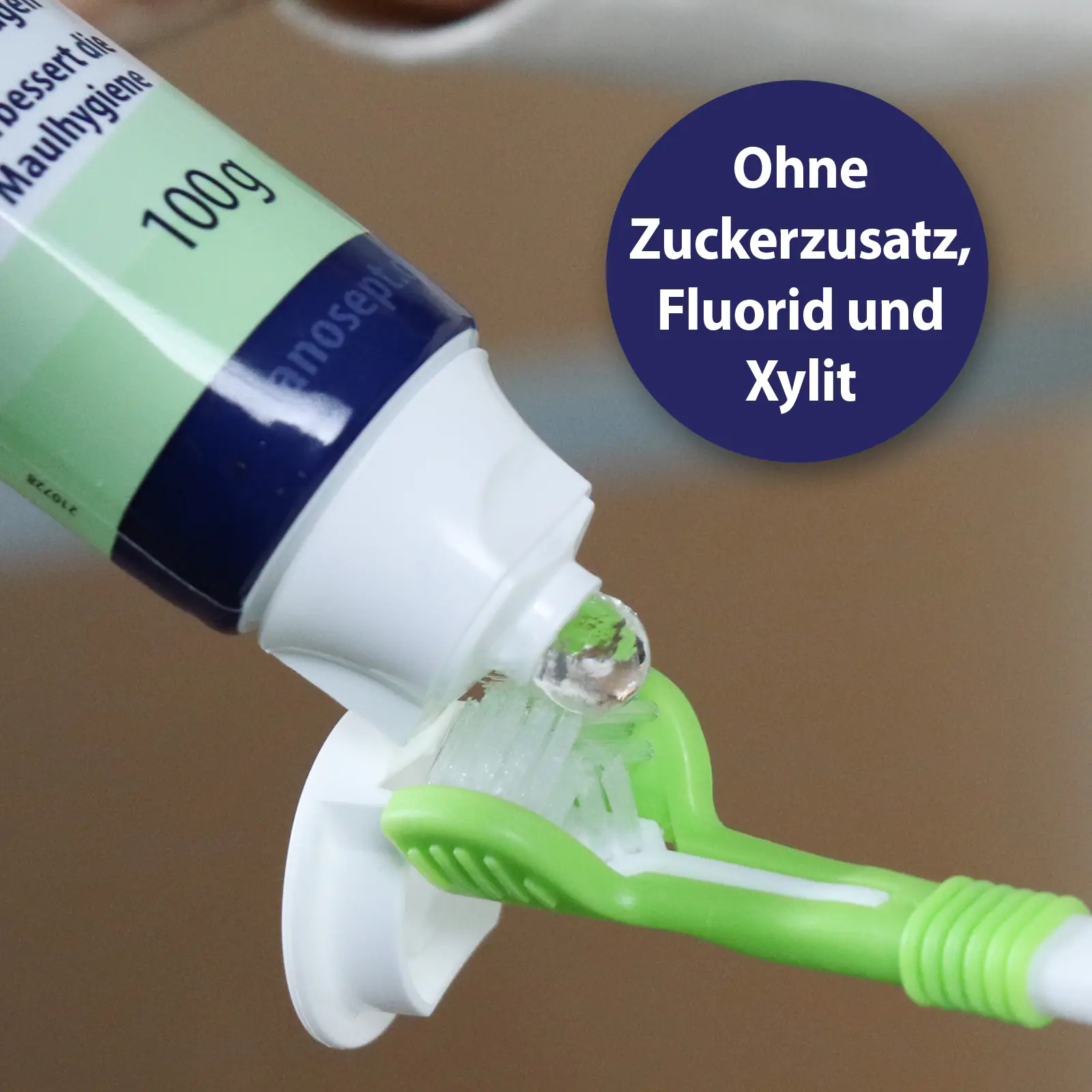 Canosept Zahnpasta Dental Gel für Hunde 100 g