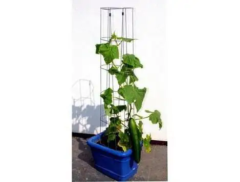 Bellissa Gurkenturm 120cm 120 cm hoch