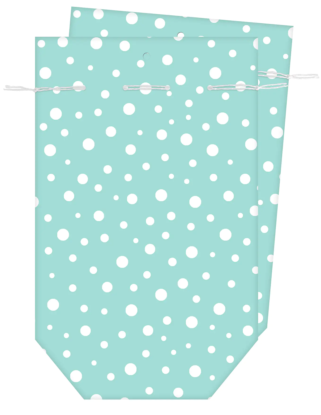 Braun & Company Geschenktasche blau 16 x 26 cm