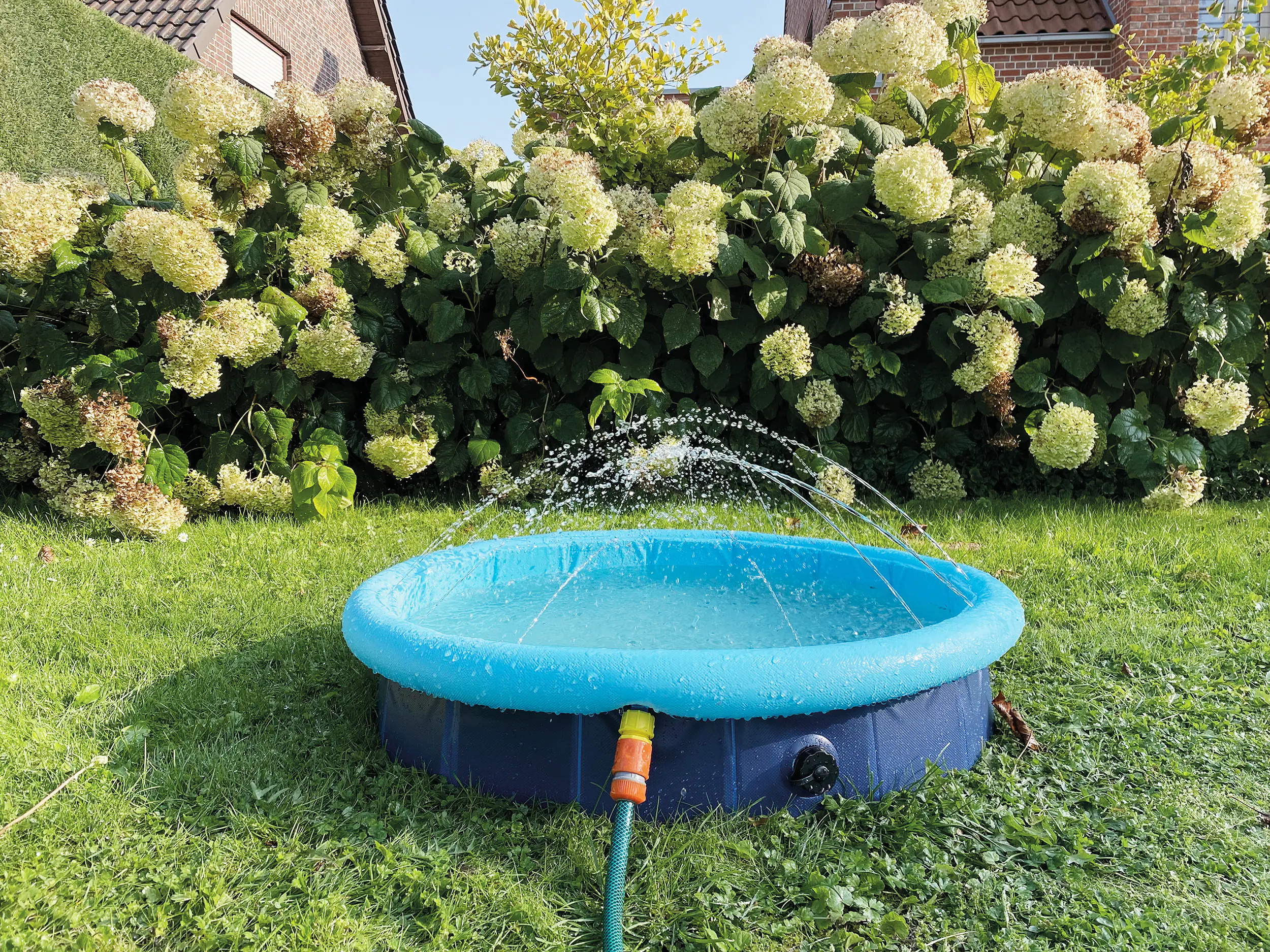 Nobby Hundepool Splash Pool 2 in 1 Nobby Hundepool Splash Pool 2 in 1