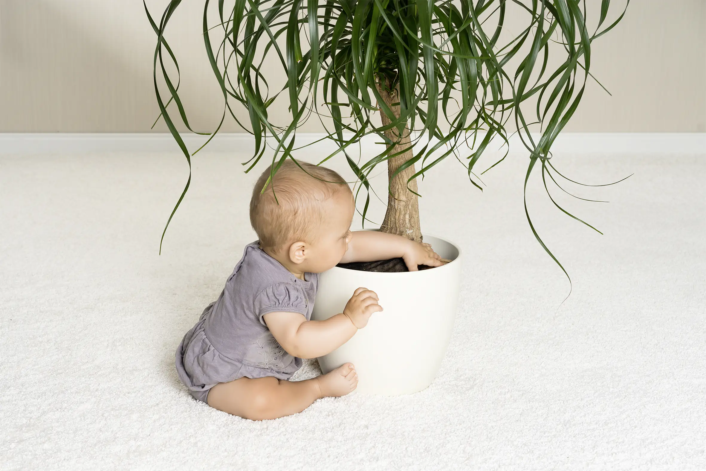 4013283832219_2067883 Reer Pflanzenschutznetz Ø 30 cm