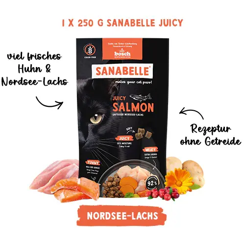 Sanabelle Juicy softes Katzentrockenfutter Adult 2 + 1 Gratis Probieraktion