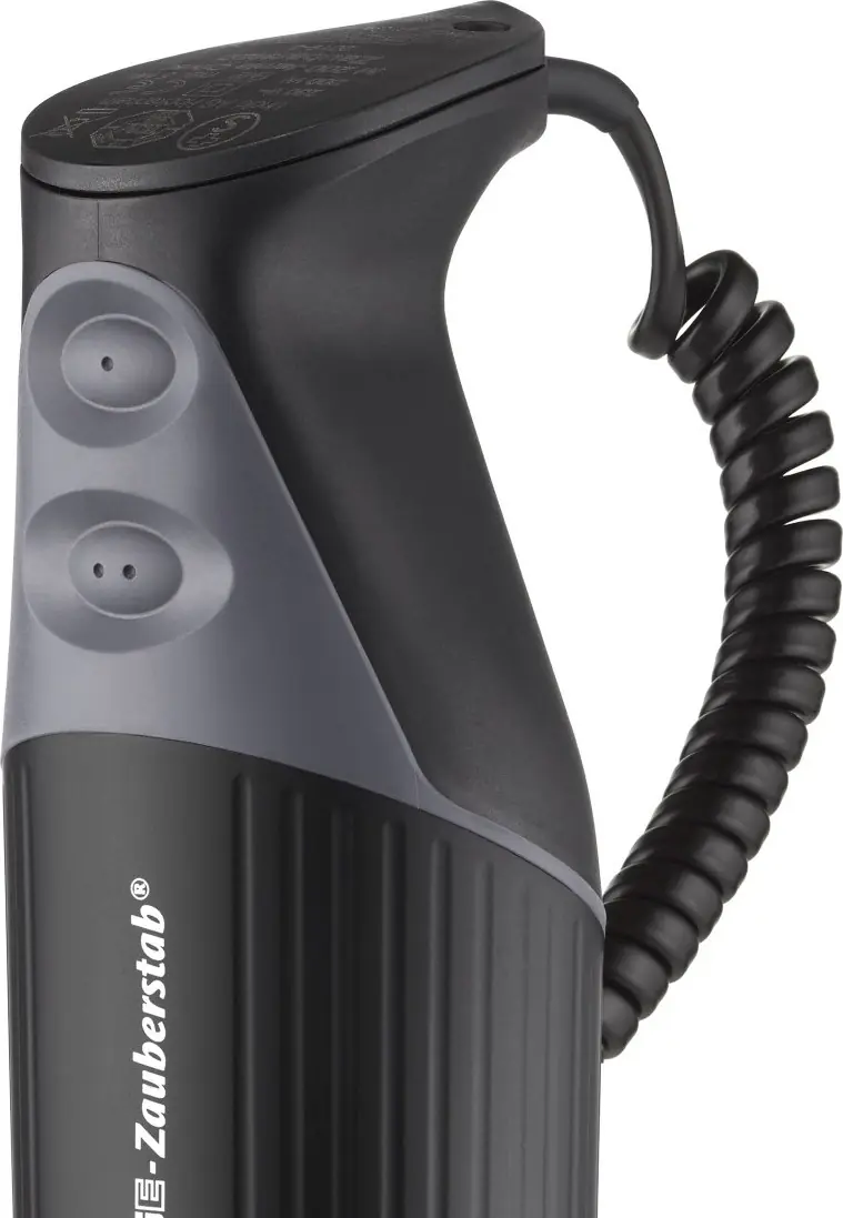 ESGE Stabmixer M 200 BBQ 200 W Rezeptbuch Zauberstab