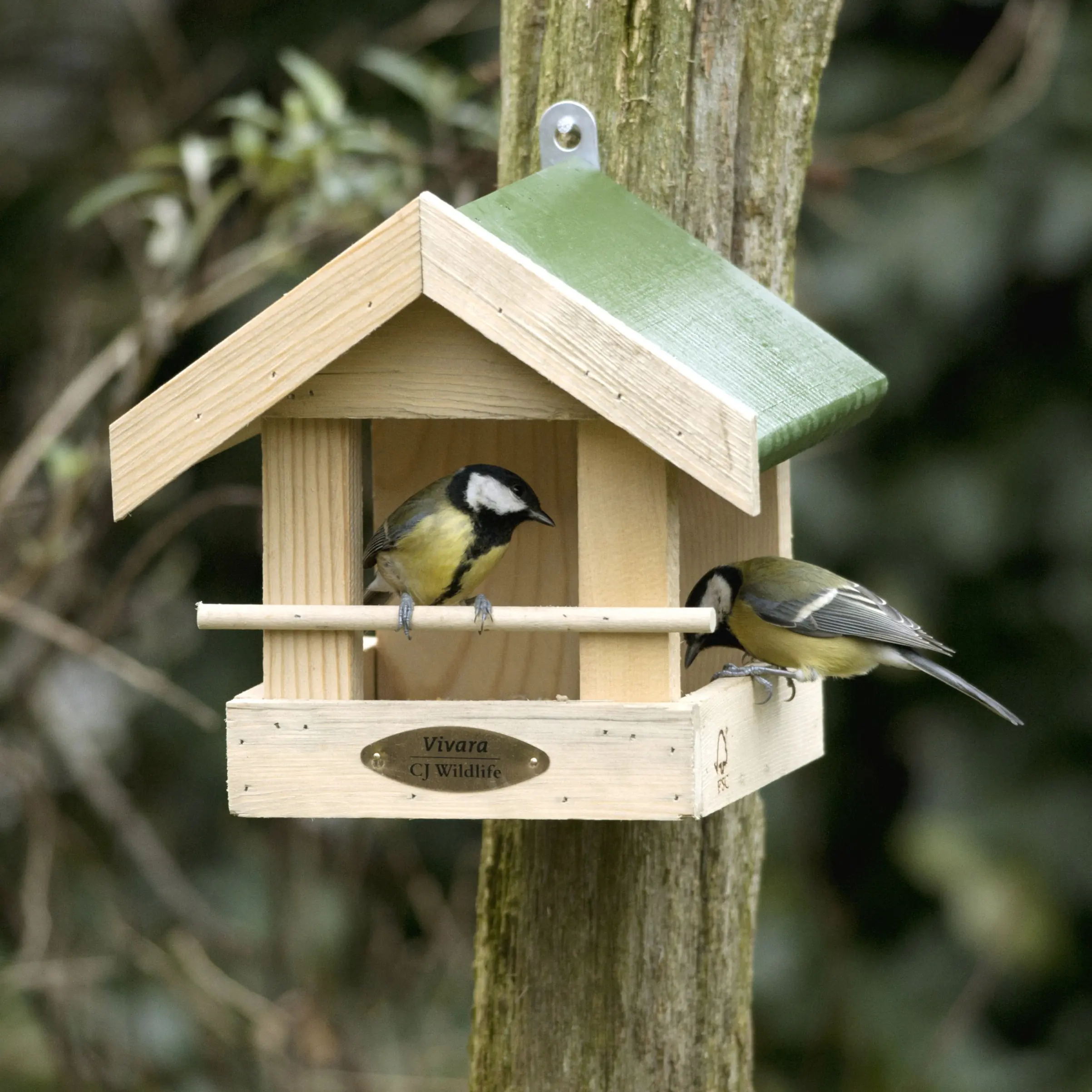 CJ Wildlife Futterhaus Memphis natur/grün LxBxH: 23,5x20x21,2 cm