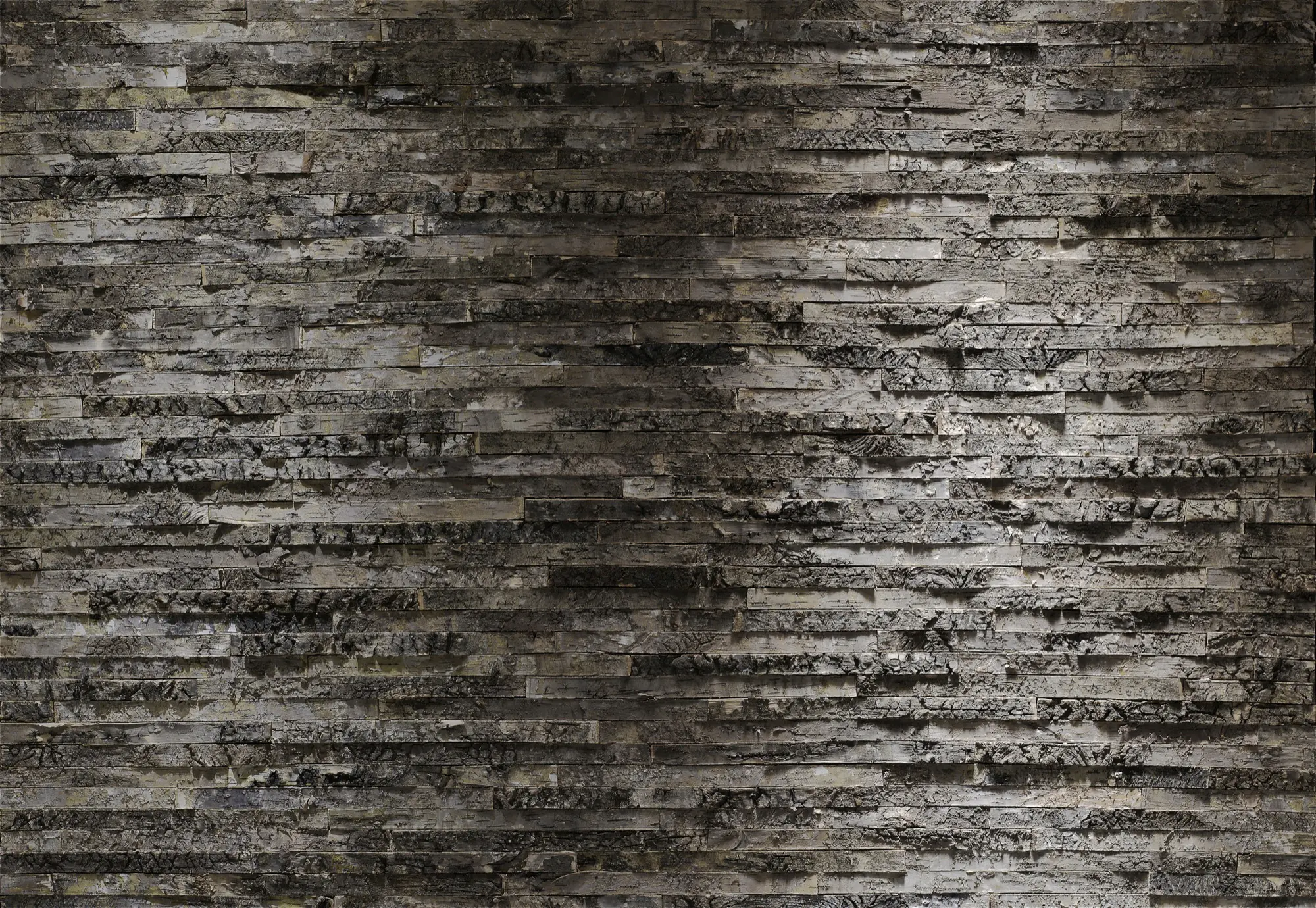Komar Fototapete Birkenrinde 368 x 254 cm 