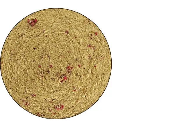 Paladin Fischfutter Flieswasser 1kg 1 kg/Flieswasser Fertigfutter