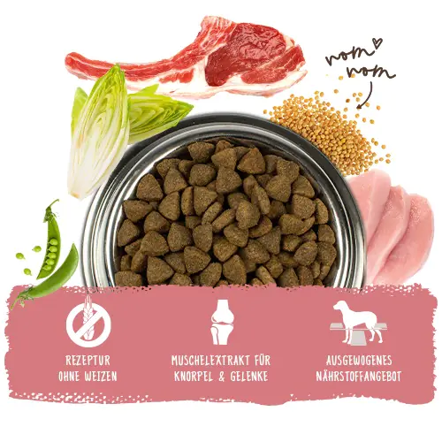 Bosch Trockenfutter für Hunde Adult 3 kg mit Lamm & Reis Bosch Trockenfutter für Hunde Adult 3 kg mit Lamm & Reis