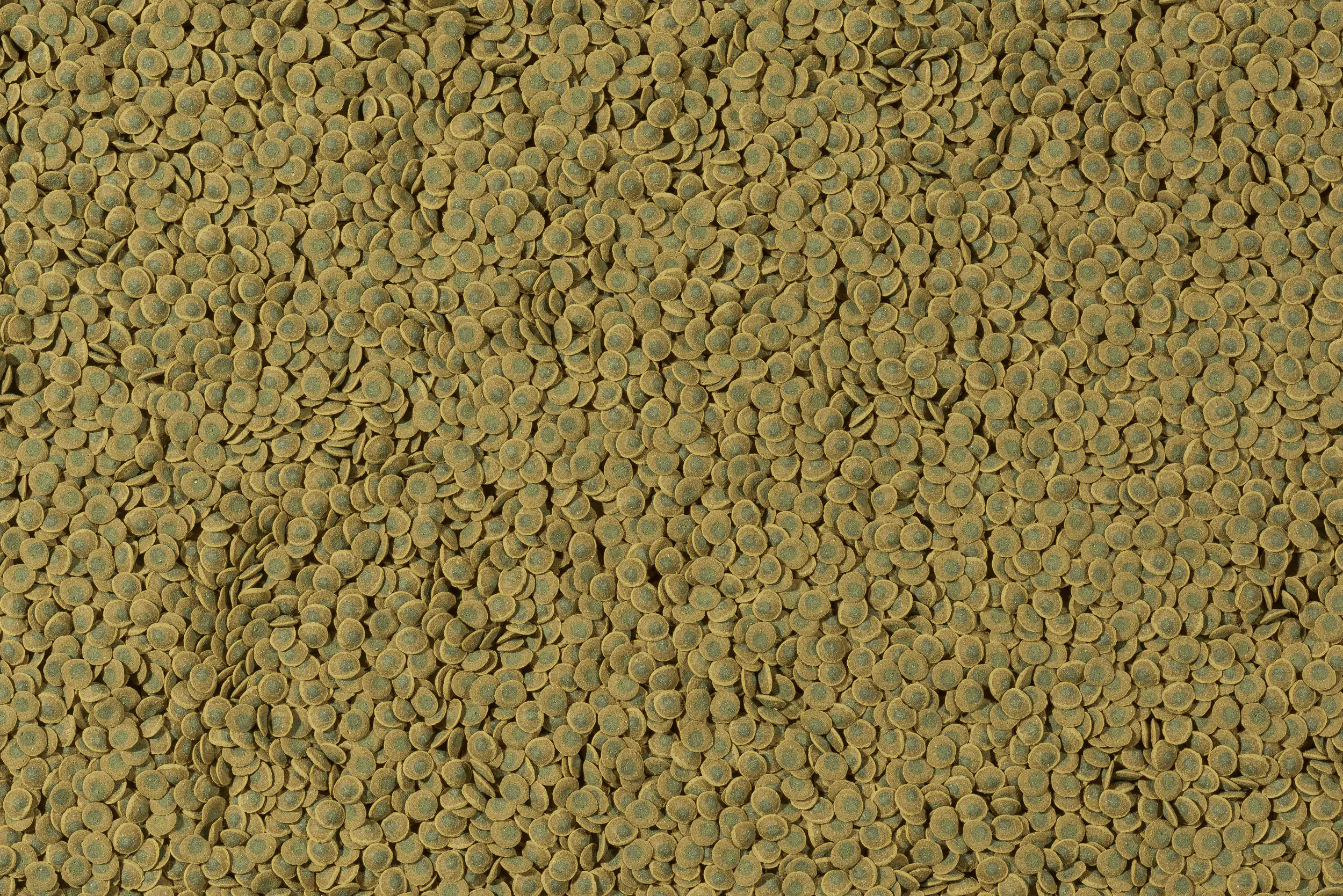 Tetra Pleco Veggie Wafers 250 ml Tetra Pleco Veggie Wafers 250 ml