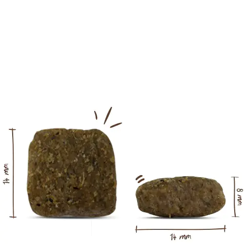 Bosch Trockenfutter für Hunde Adult 3 kg mit Geflügel & Hirse Bosch Trockenfutter für Hunde Adult 3 kg mit Geflügel & Hirse