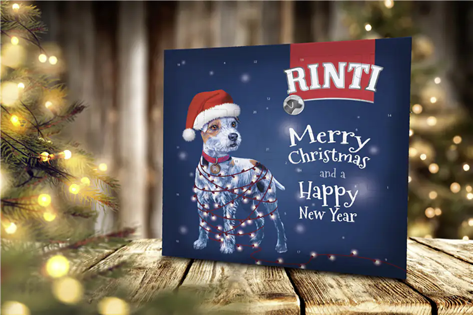 Rinti Chicko Adventskalender 2024 Rinti Chicko Adventskalender 2024