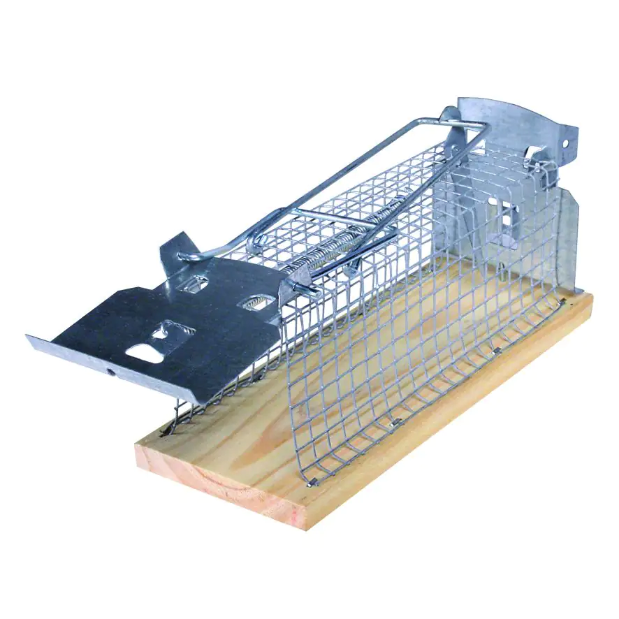 Swissinno Holz-Lebendfalle für Mäuse