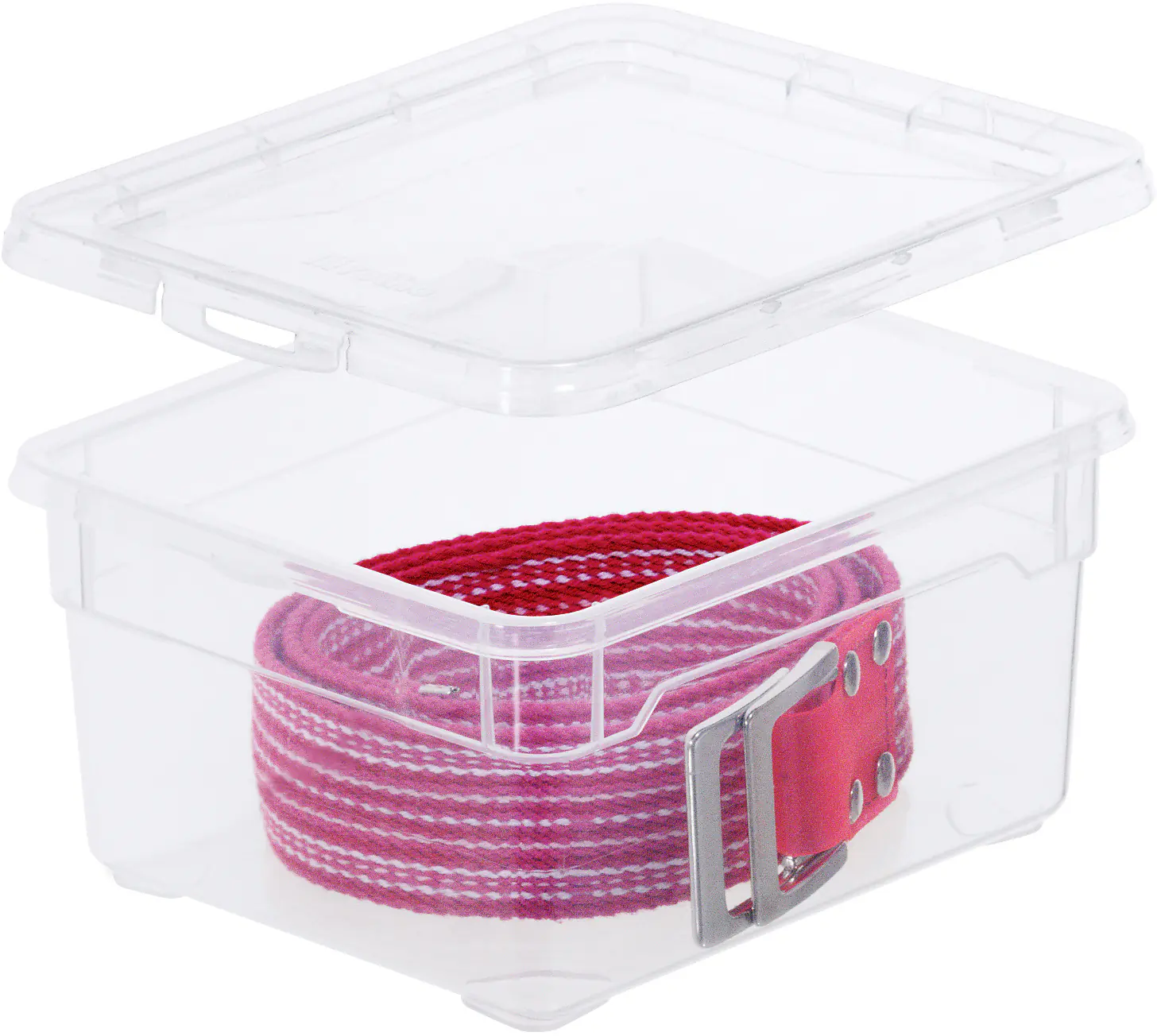 Rotho Aufbewahrungsbox Clear small inkl. Deckel 2 L transparent