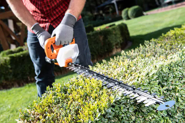 Akku-Gartengeräte: flexible Maschinen