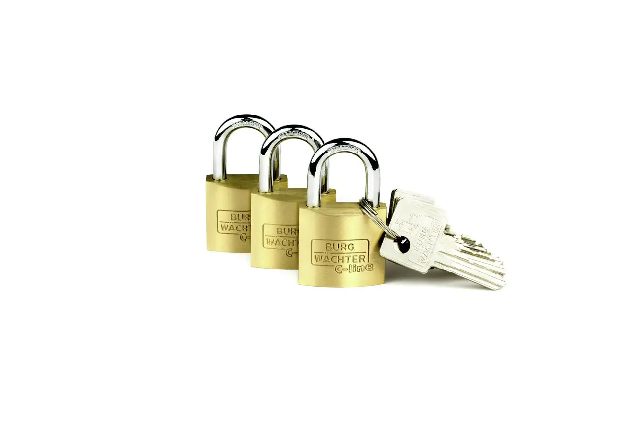Burg Wächter Vorhängeschloss Trio 222 30 C-Line 14.3 x 16.0 mm - 3 Stück