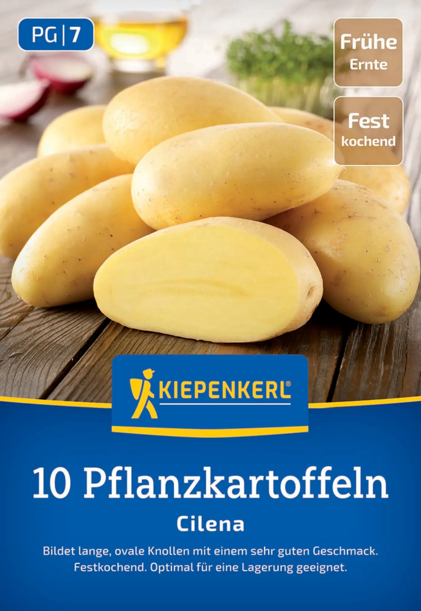 Kiepenkerl Pflanzkartoffel Cilena 10 Stück