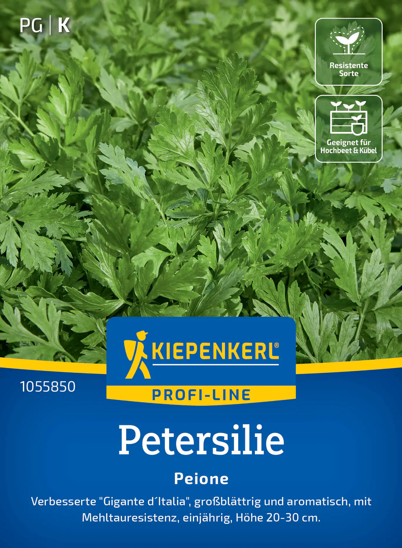 Kiepenkerl Saatgut Profi-Line Petersilien Peione ca. 150 Pflanzen