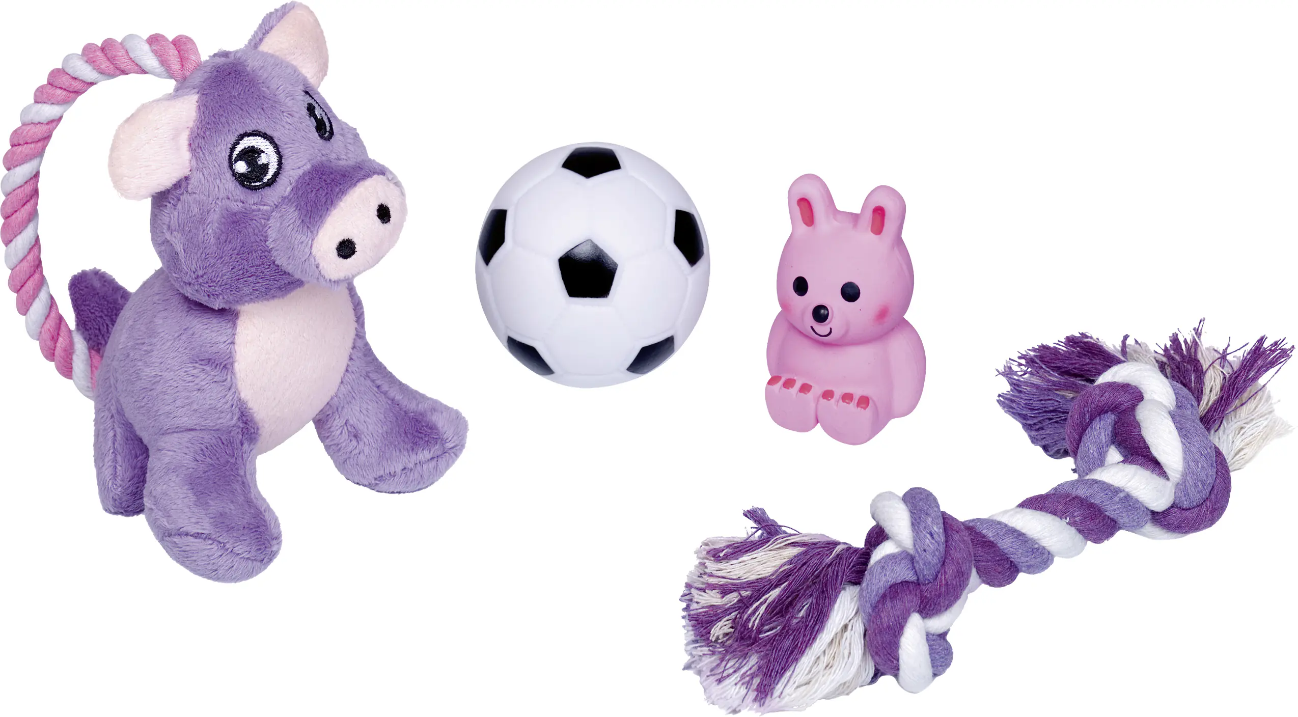 Nobby Starter Set 4-teilig