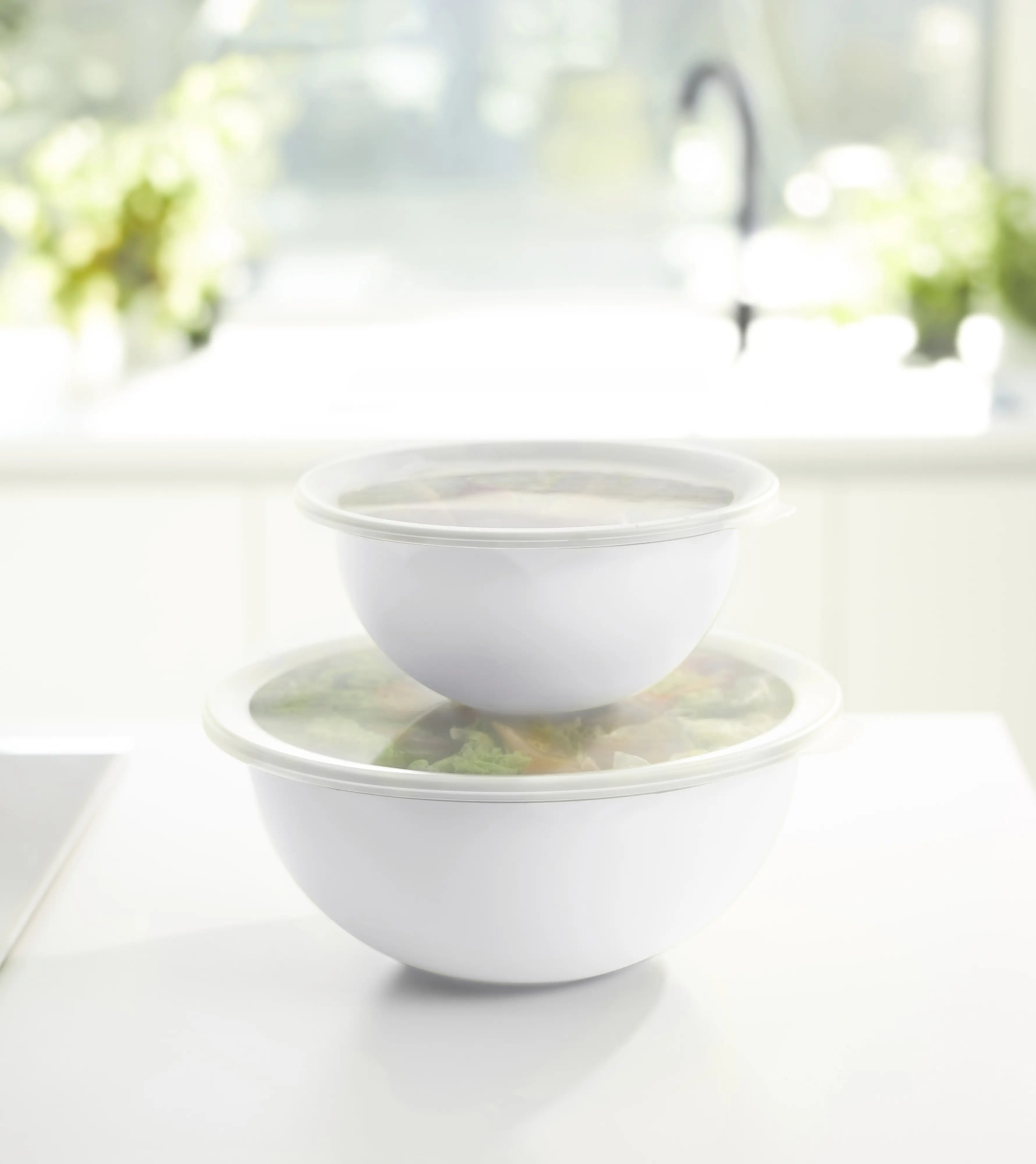 Rotho Schüssel + Deckel Caruba 3 L mistletoe white