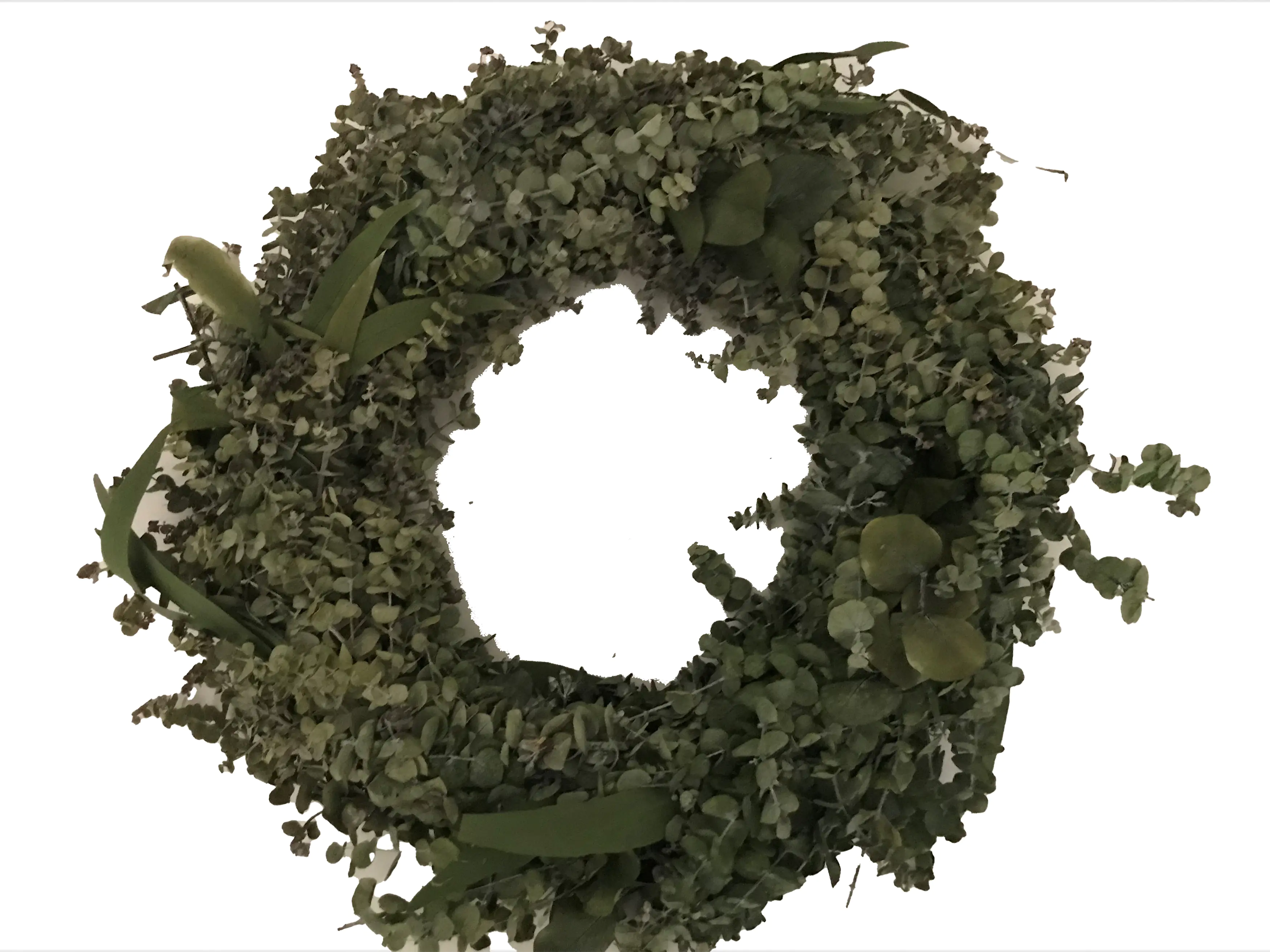 Freese Eukalyptus-Kranz "Römer" Ø 40 cm, präpariert