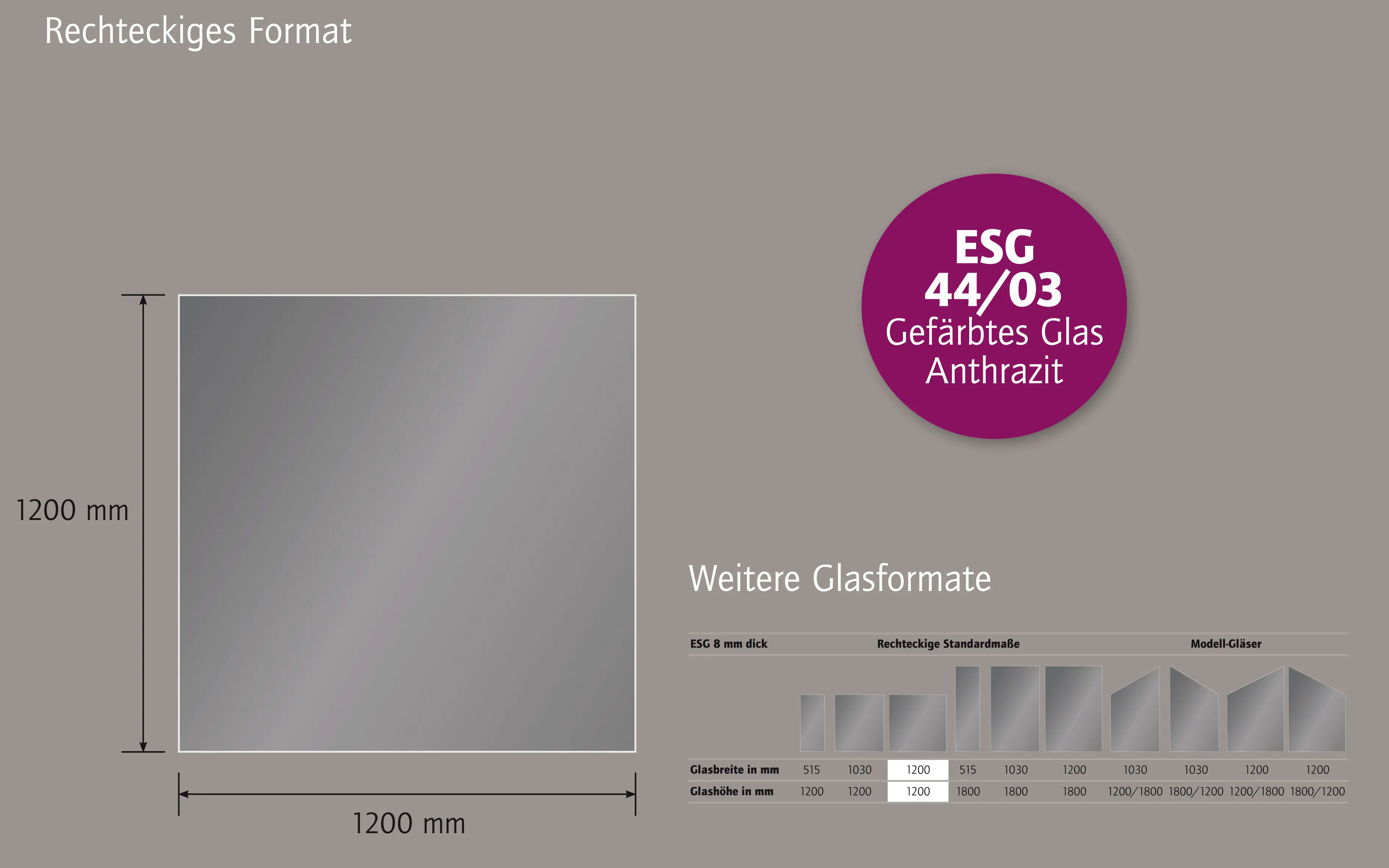 Ambiente Glaszaun Dekor 44/03 120 x 120 cm gehärtetes 8 mm Glas Ambiente Glaszaun Dekor 44/03 120 x 120 cm gehärtetes 8 mm Glas