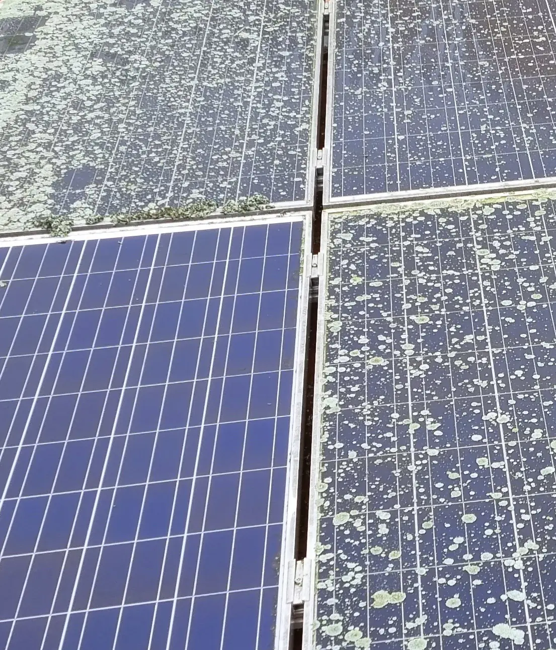 Edialux Enzimo Solaranlagen- & PV-Anlagen-Reiniger 2,5L Edialux Enzimo Solaranlagen- & PV-Anlagen-Reiniger 2,5L