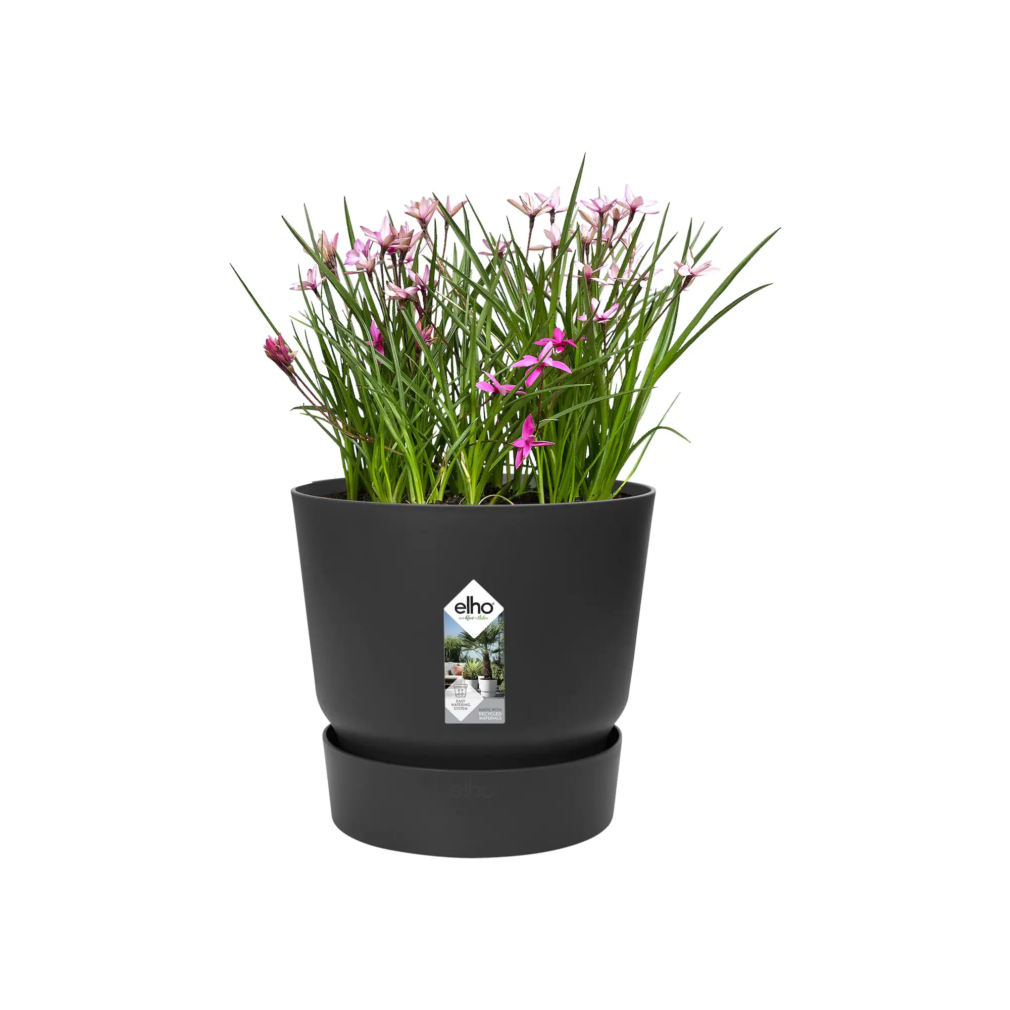 Elho Pflanztopf Greenville Ø 25 x 23 cm living schwarz Elho Pflanztopf Greenville Ø 25 x 23 cm living schwarz