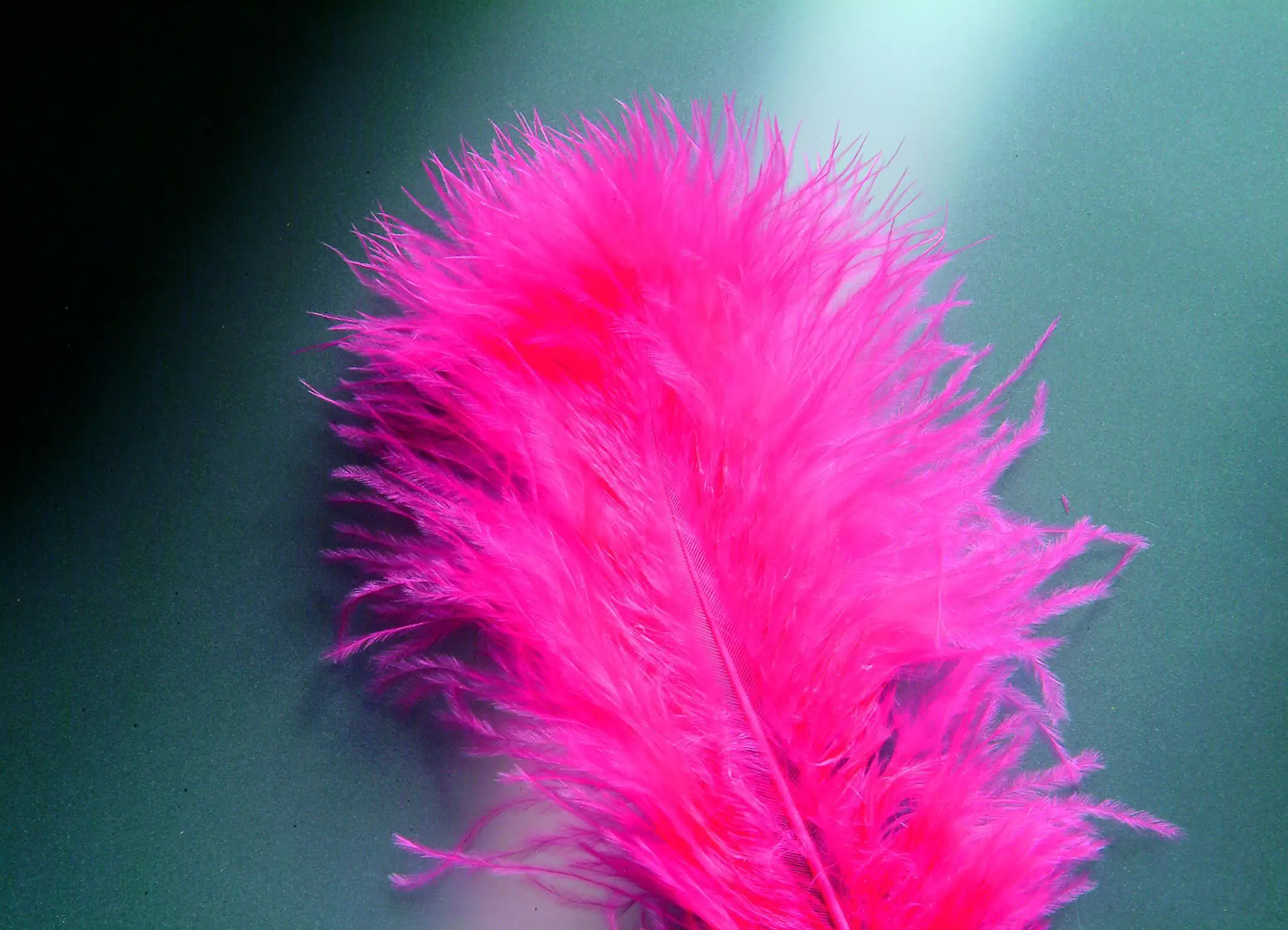 7610877404141 Glorex Marabufedern pink ca. 15 Stück