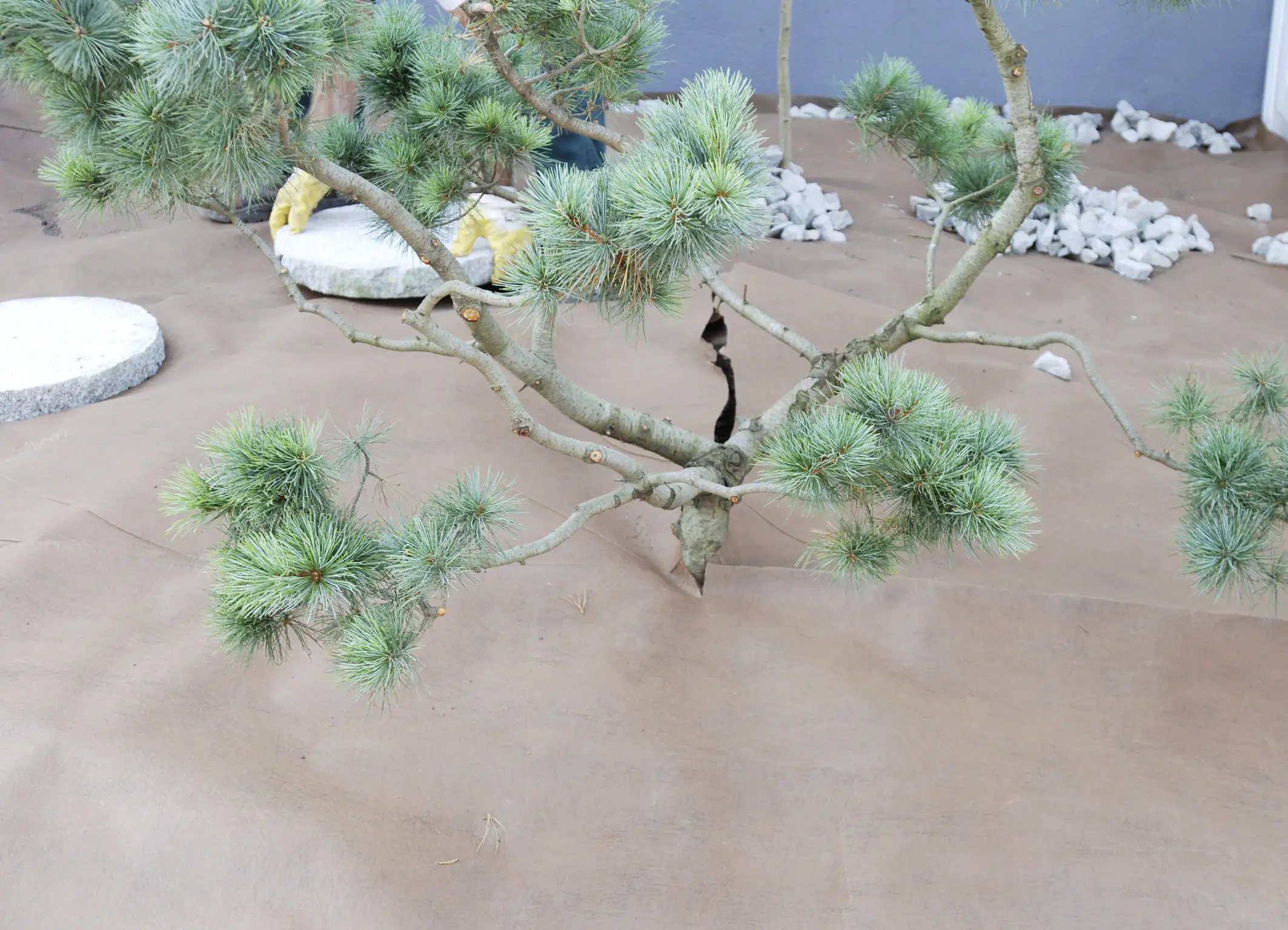 Gutta Mulchvlies Plantex 2 m breit