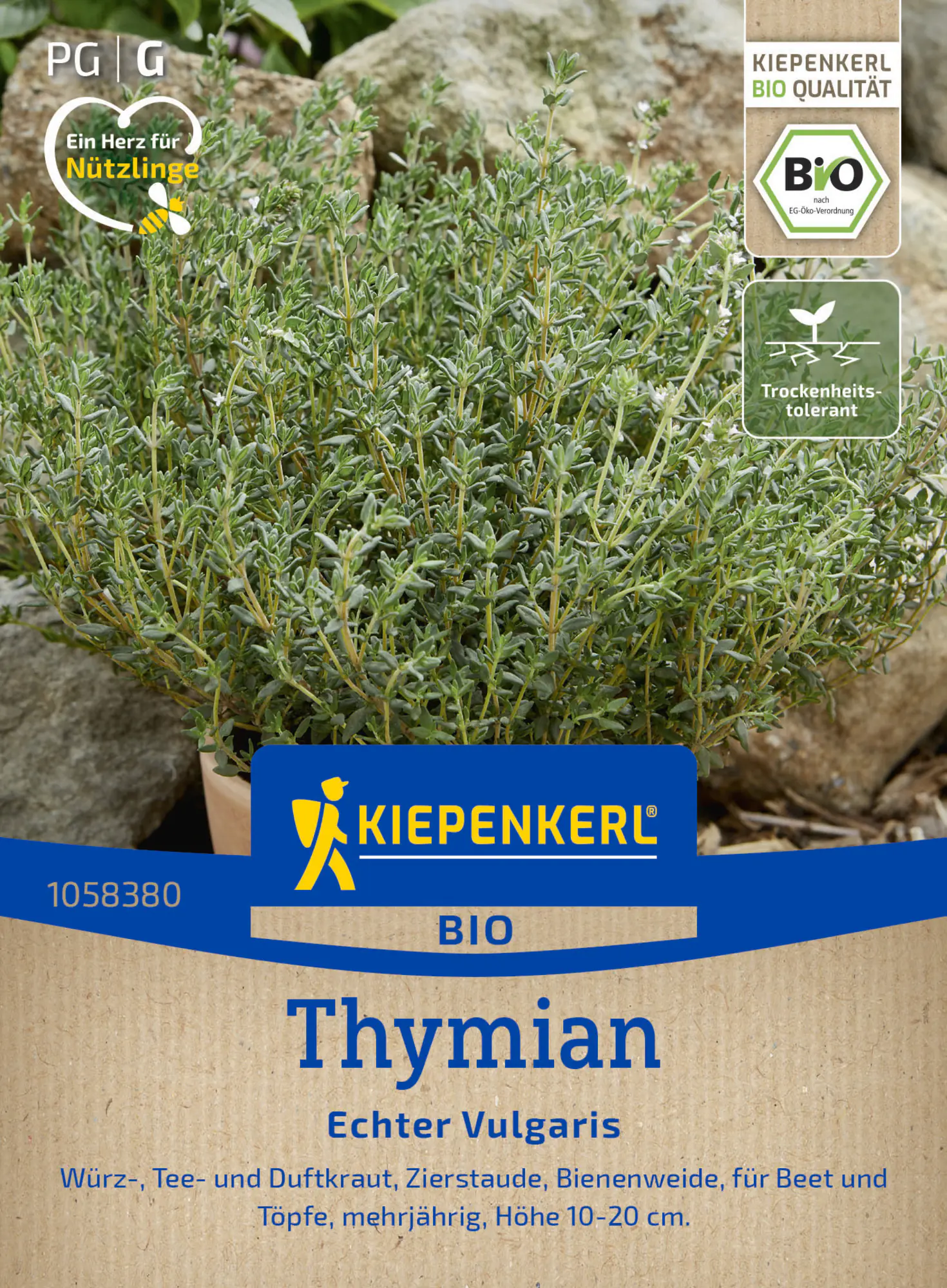 Kiepenkerl Saatgut BIO Thymian Echter Vulgaris für ca. 150 Pflanzen