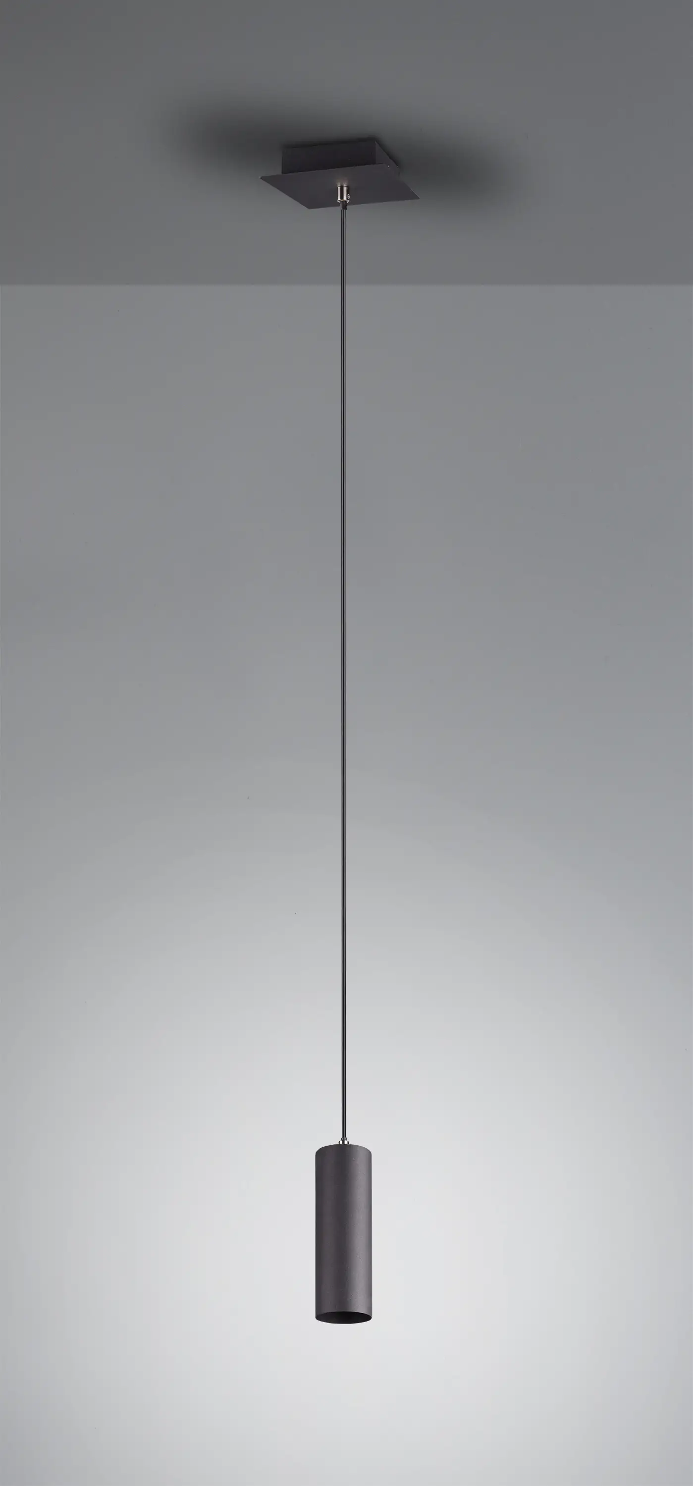 Trio Leuchten Pendelleuchte Marley schwarz matt