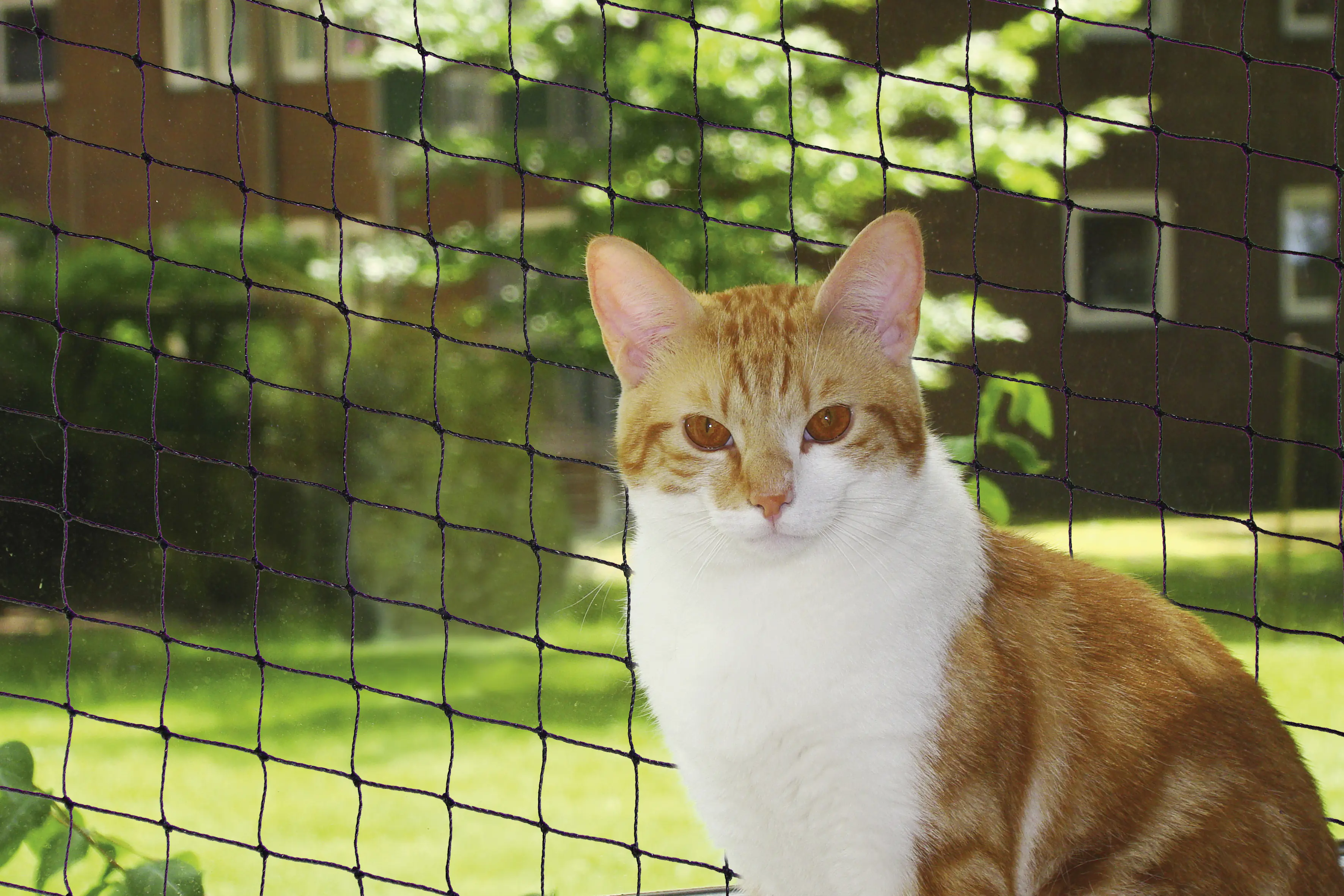Nobby Katzenschutznetz schwarz Größe M 4 x 3 m