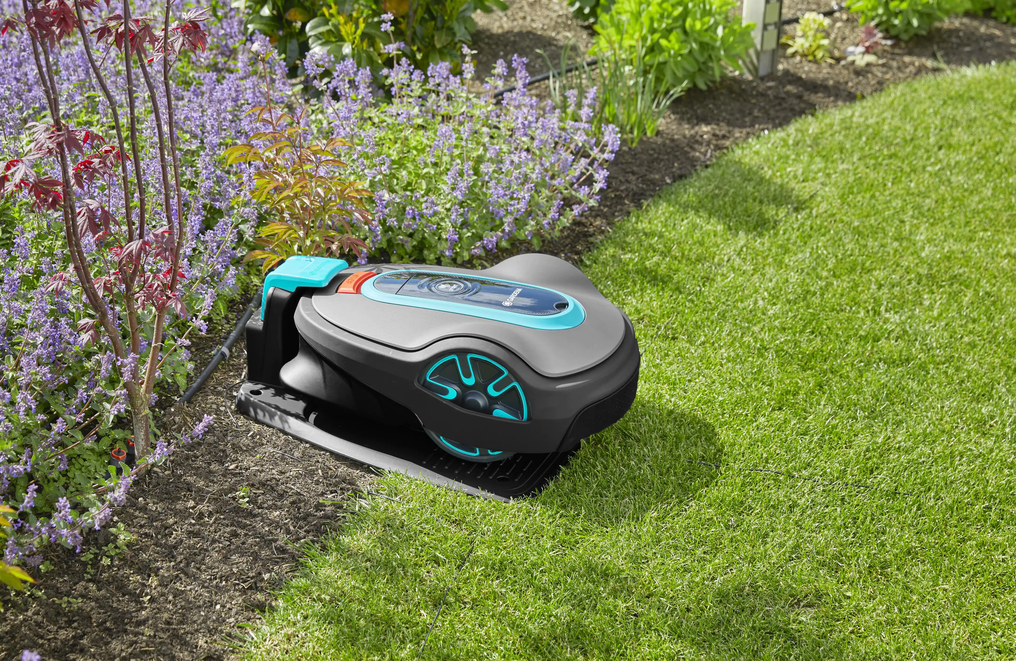 4078500060561_3 Gardena Mähroboter smart Sileno life 1000 m² Set 18 V, 2 Ah
