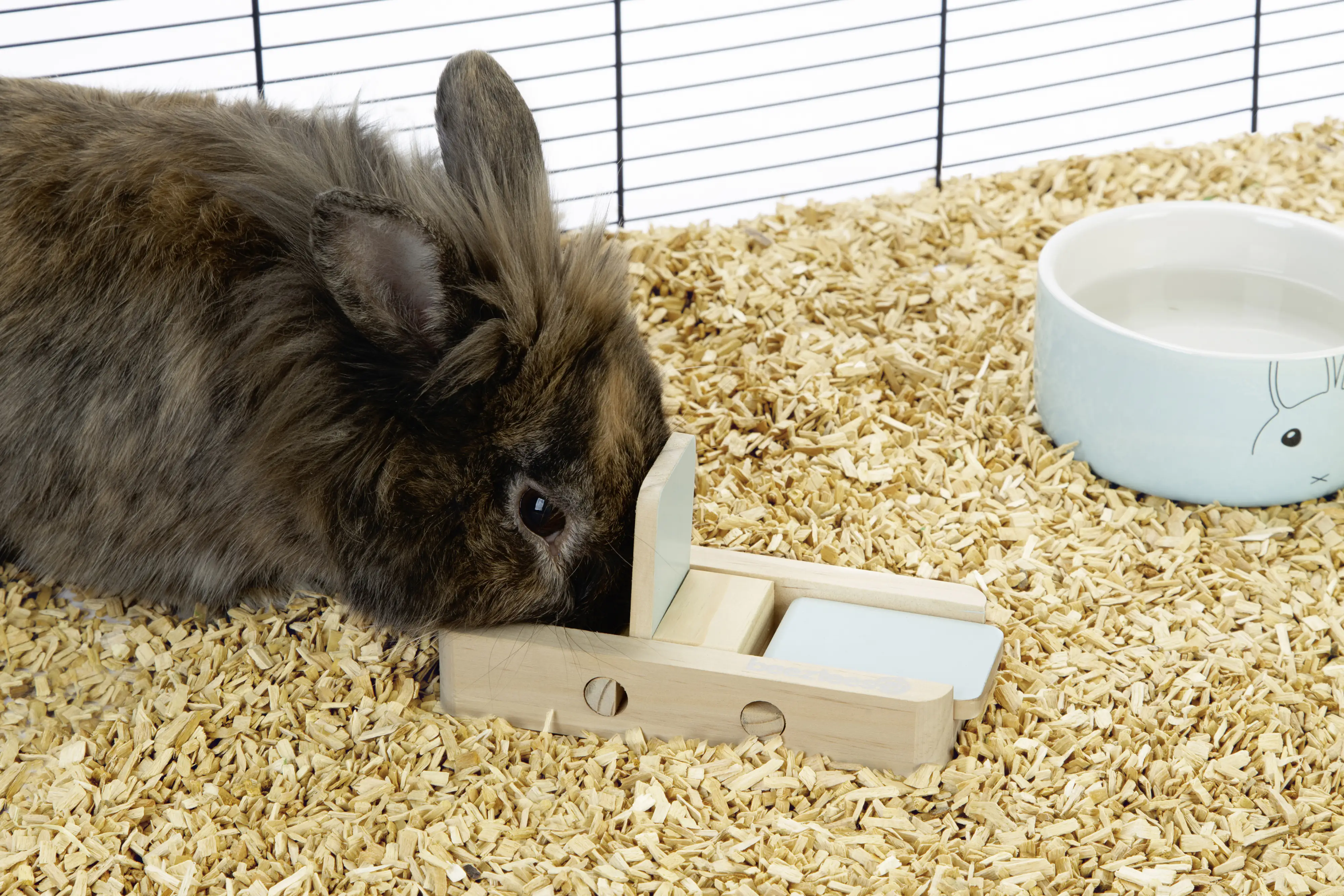 Beeztees Spielzeug Dorix 