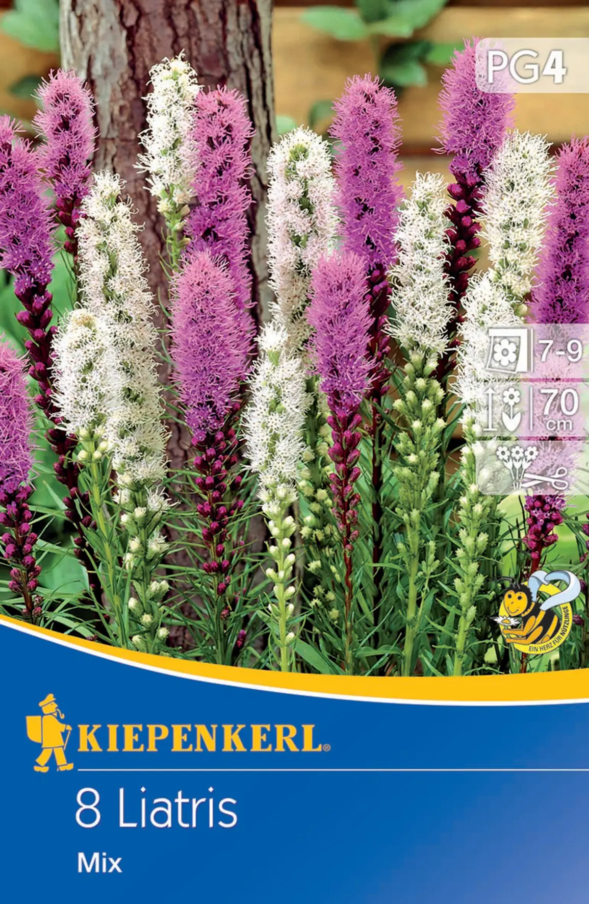 Kiepenkerl Prachtscharte Liatris Blau und Weiß
