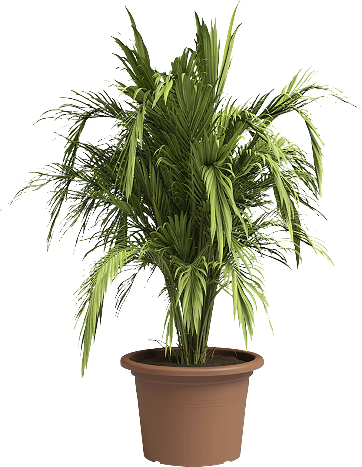 Artevasi Pflanztopf Venezia Cilindro Kunststoff terrakotta matt Ø 35 x 25 cm