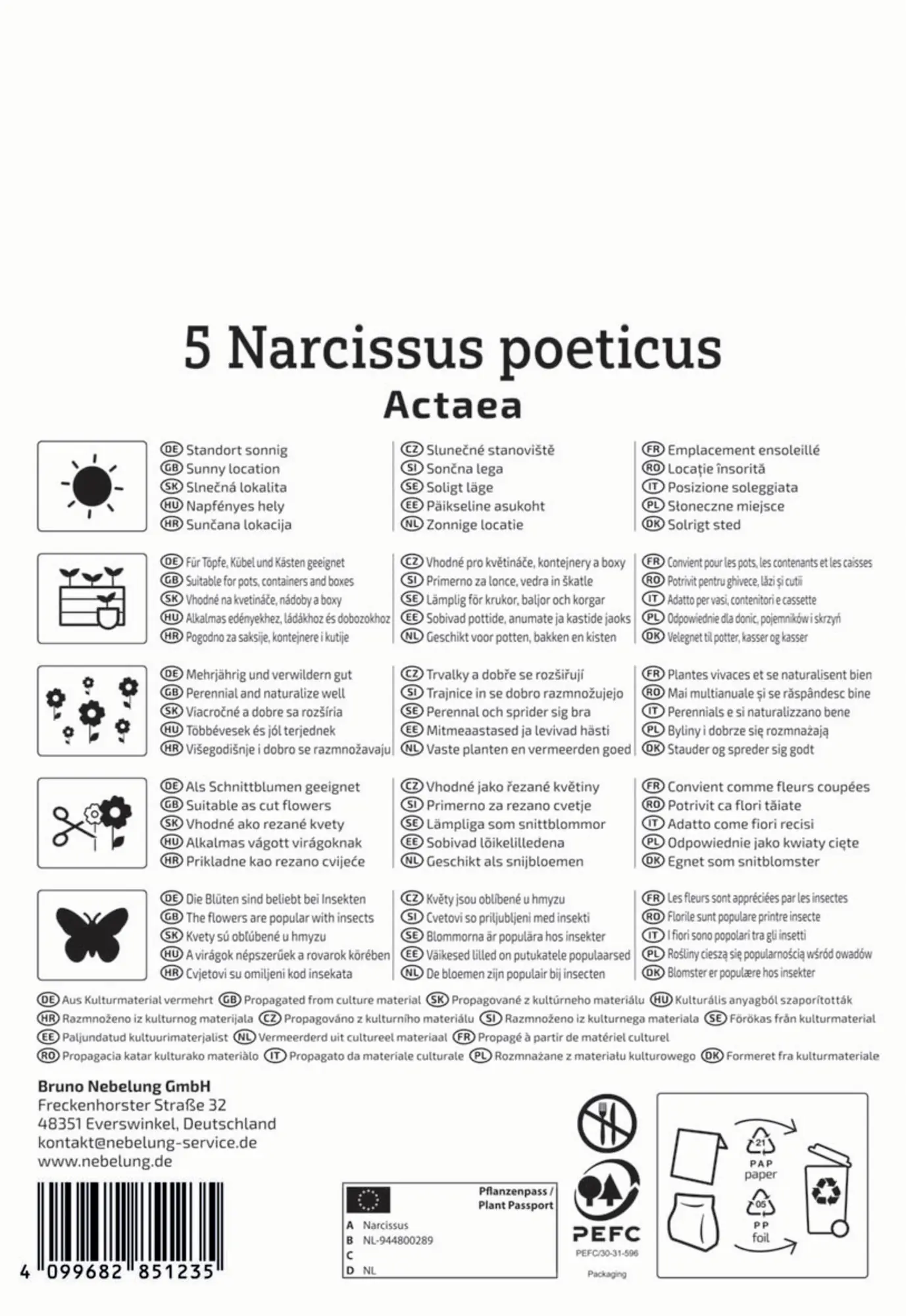 Kiepenkerl Herbstblumenzwiebel Dichternarzisse Actaea 5 Stück