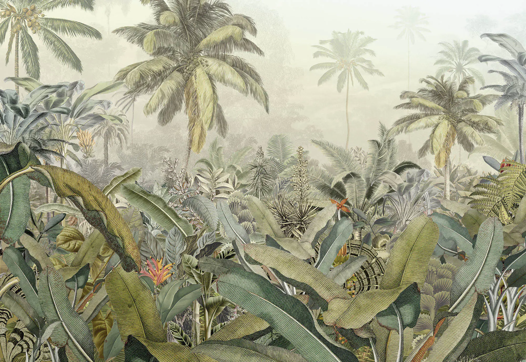Komar Vlies Fototapete Amazonia 368 x 248 cm Komar Vlies Fototapete Amazonia 368 x 248 cm