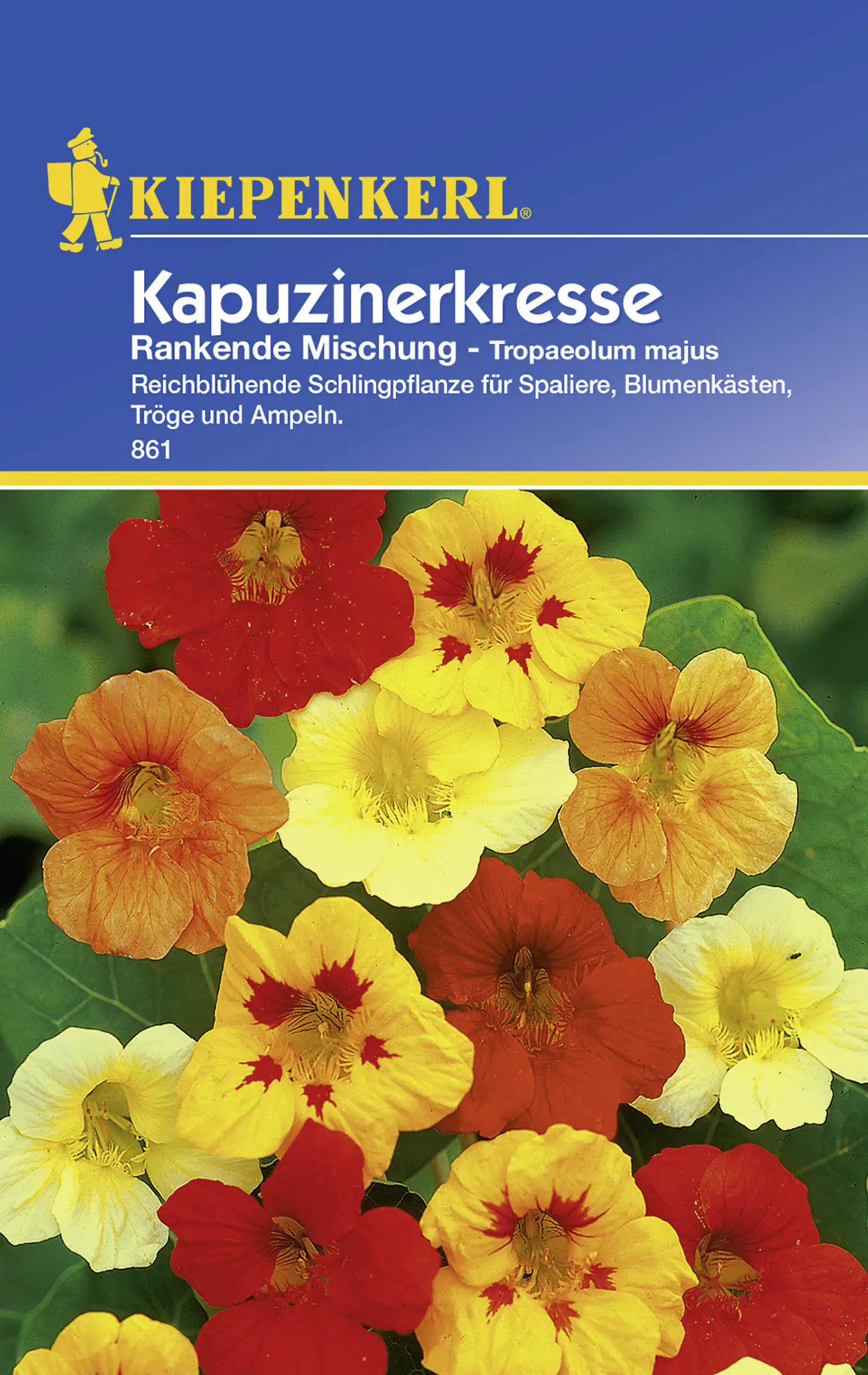 Kiepenkerl Kapuzinerkresse Rankende Mischung Tropaeolum majus, Inhalt: ca. 20 Pflanzen Kiepenkerl Kapuzinerkresse Rankende Mischung Tropaeolum majus, Inhalt: ca. 20 Pflanzen