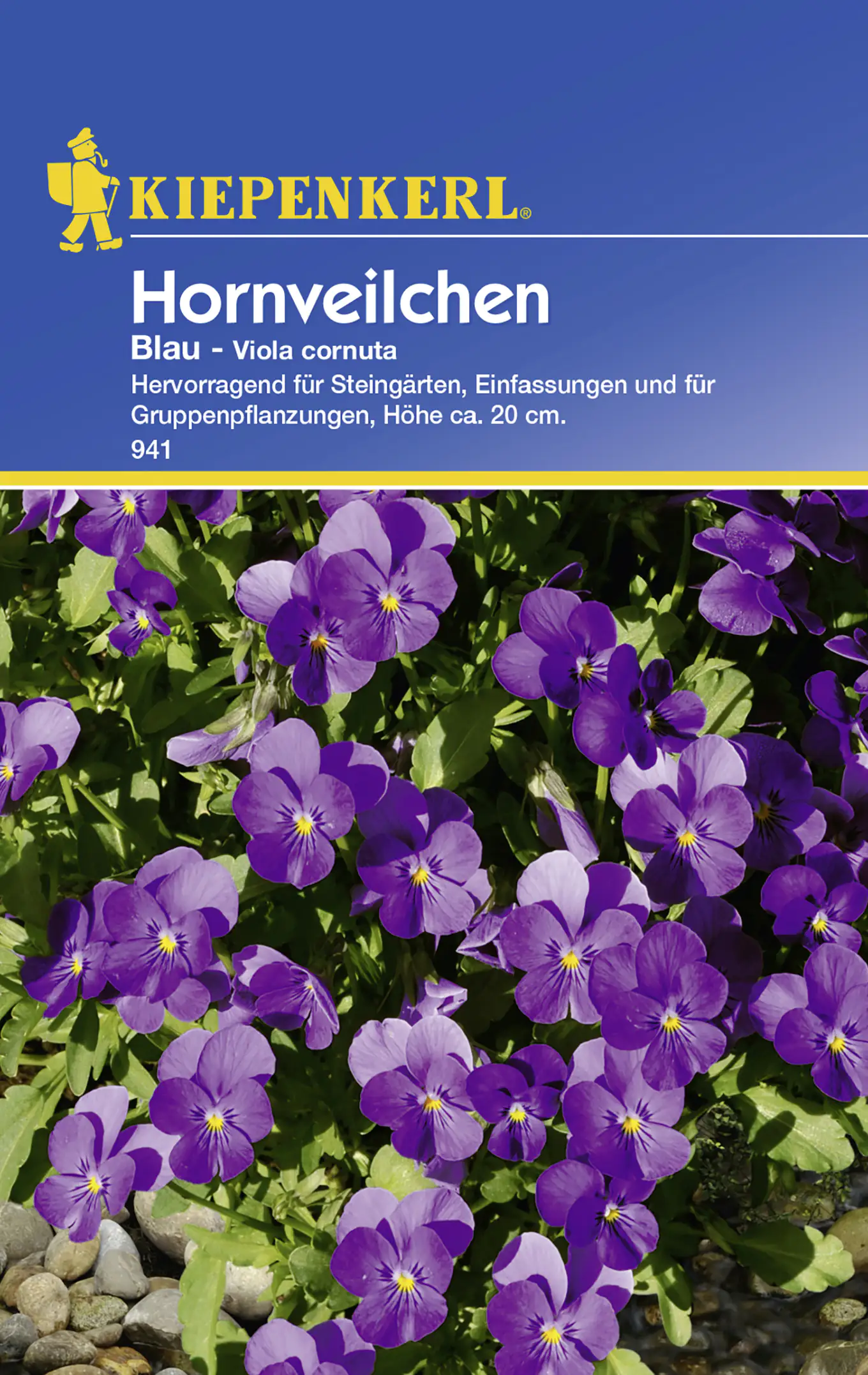 Kiepenkerl Hornveilchen Blau Viola x cornuta, Inhalt: ca. 30 Pflanzen