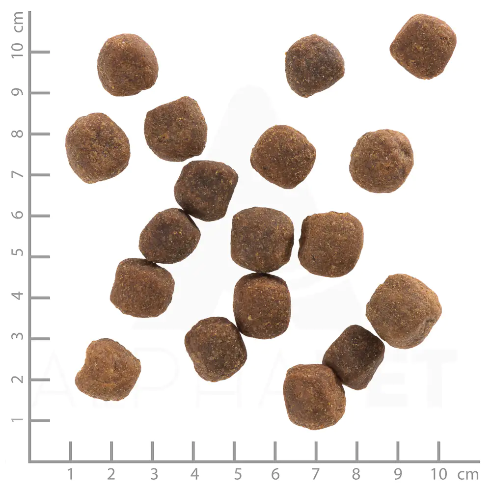 Wolfsblut Wild Duck Adult Trockenfutter - Ente mit Kartoffel 12,5 kg Wolfsblut Wild Duck Adult Trockenfutter - Ente mit Kartoffel 12,5 kg