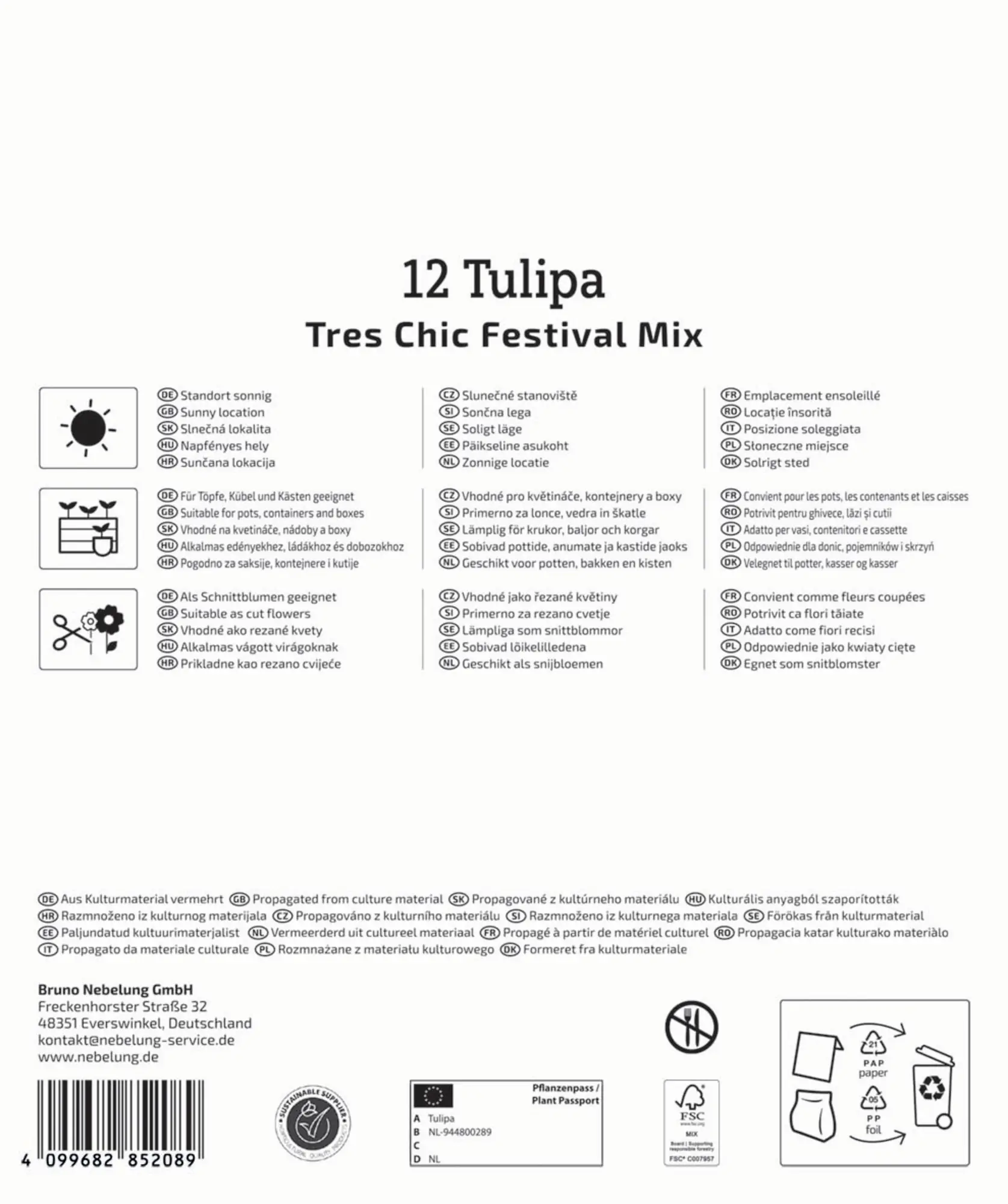 Kiepenkerl Herbstblumenzwiebel Mega-Pack Lilienblütige Tulpen Tres Chic 12 Stück