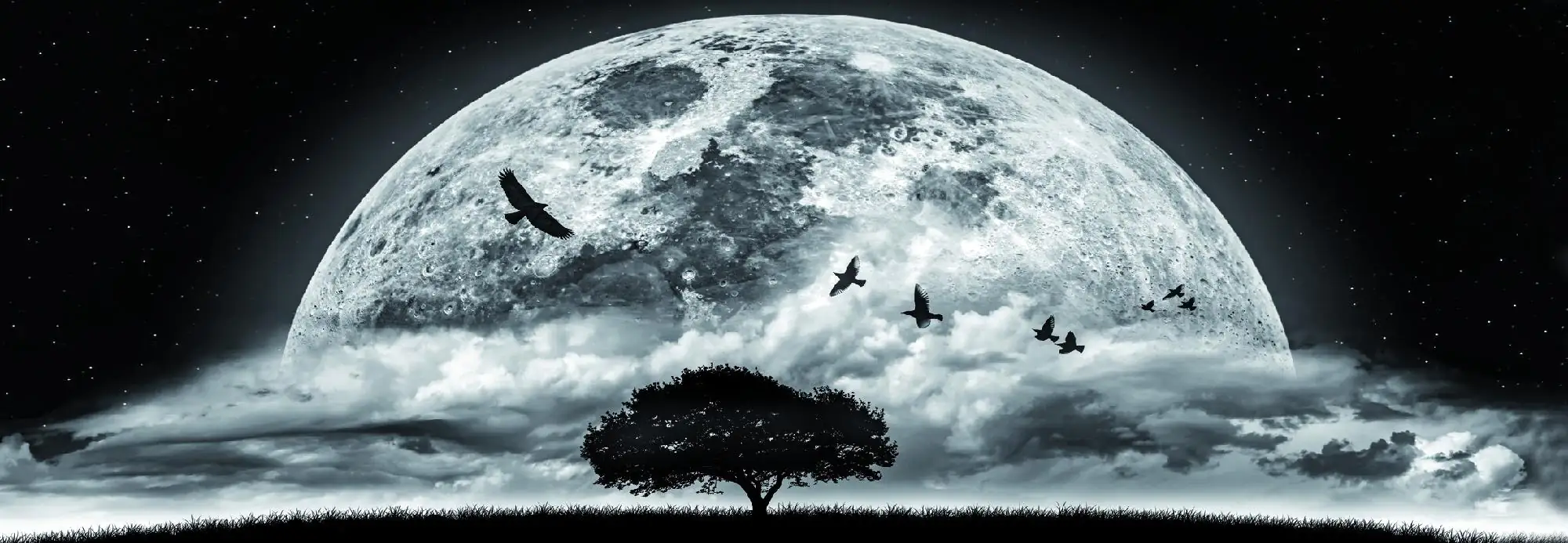 Deco-Panel Bild - Mondschein 155 x 53 cm