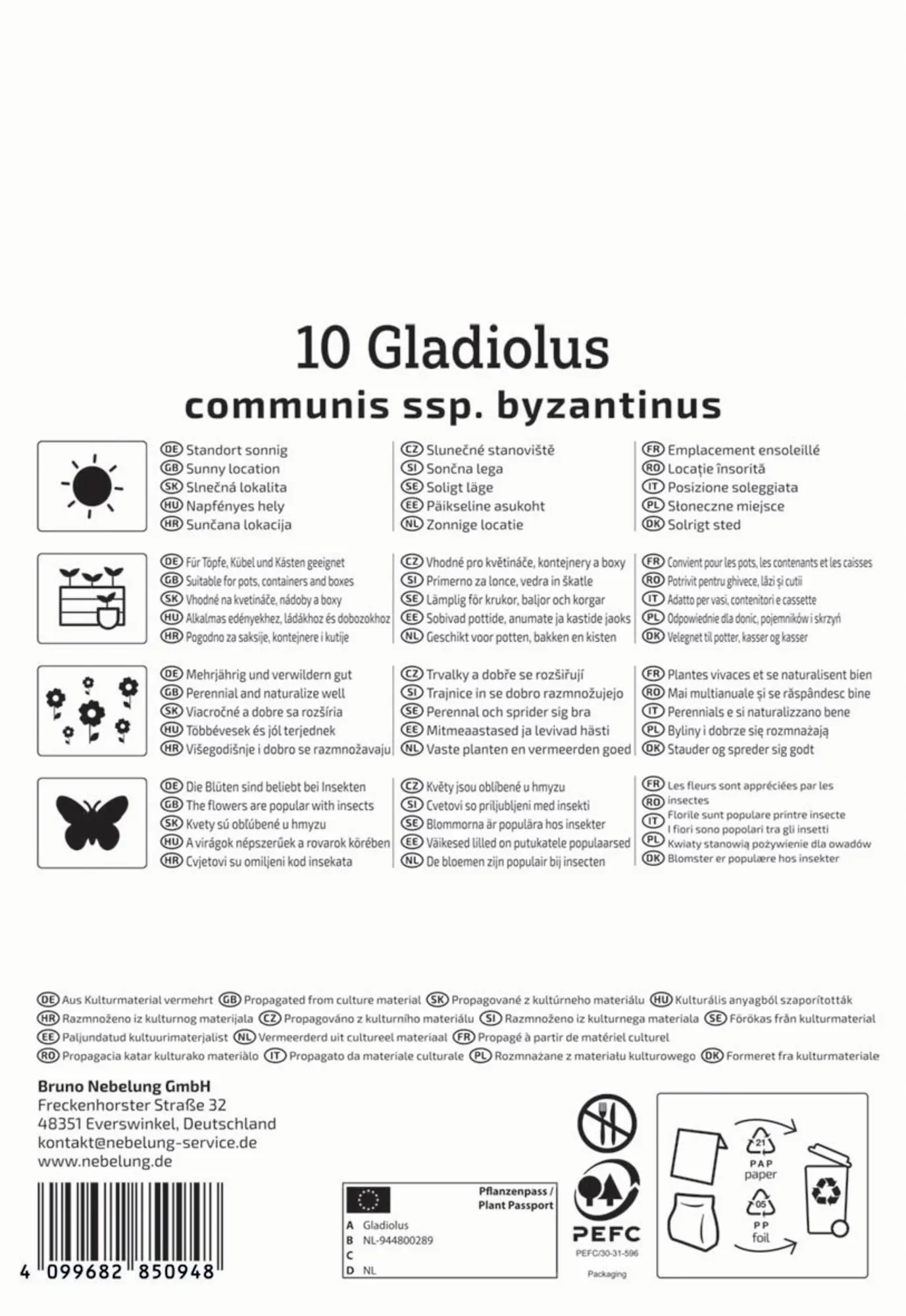 Kiepenkerl Herbstblumenzwiebel Byzantinische Wildgladiole 10 Stück